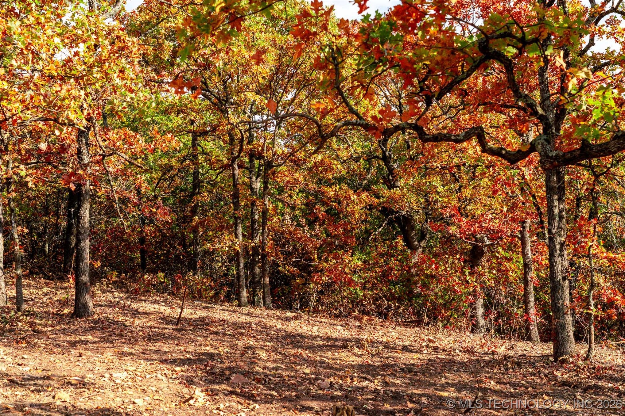 43rd Street N Property Photo 34