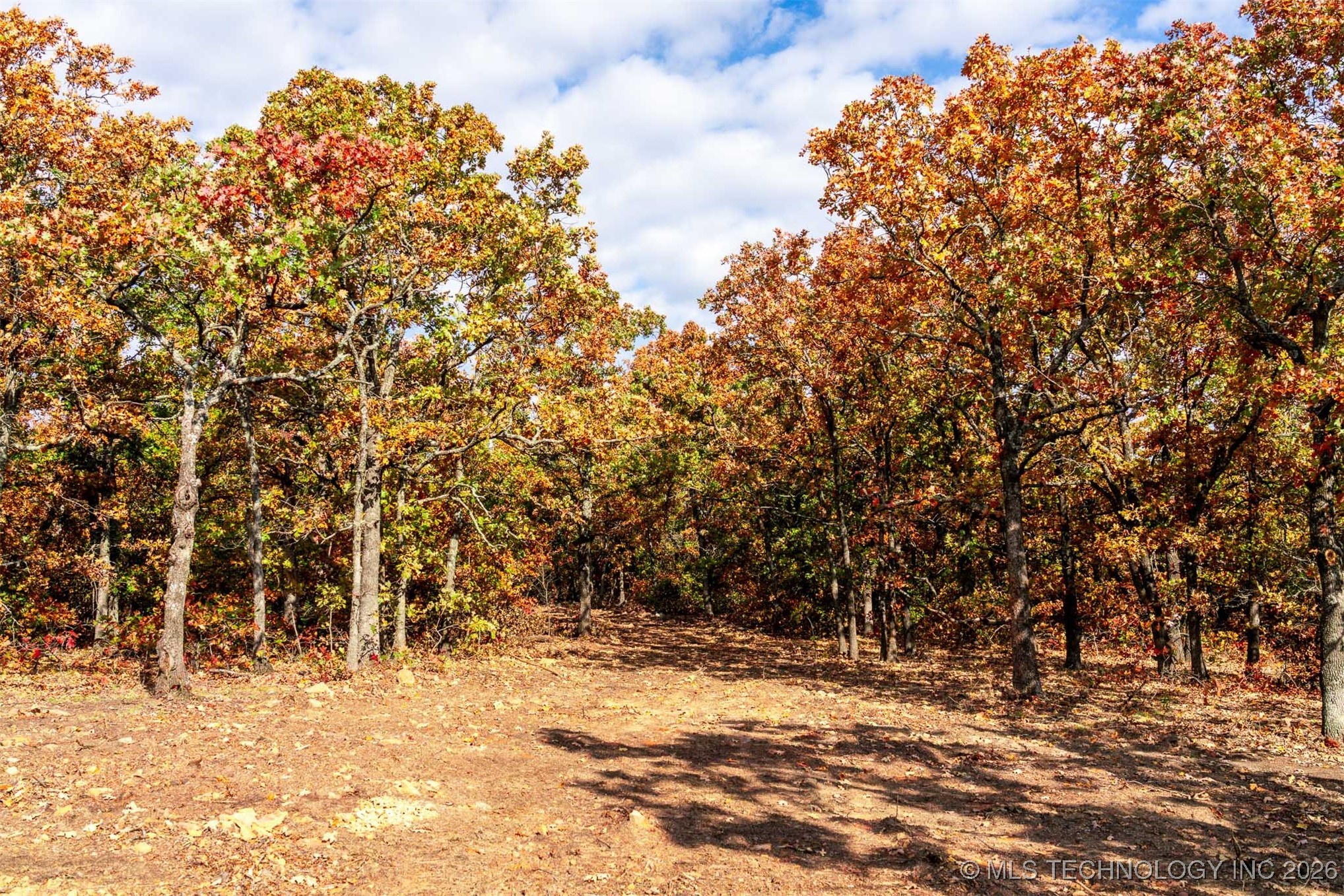 43rd Street N Property Photo 41