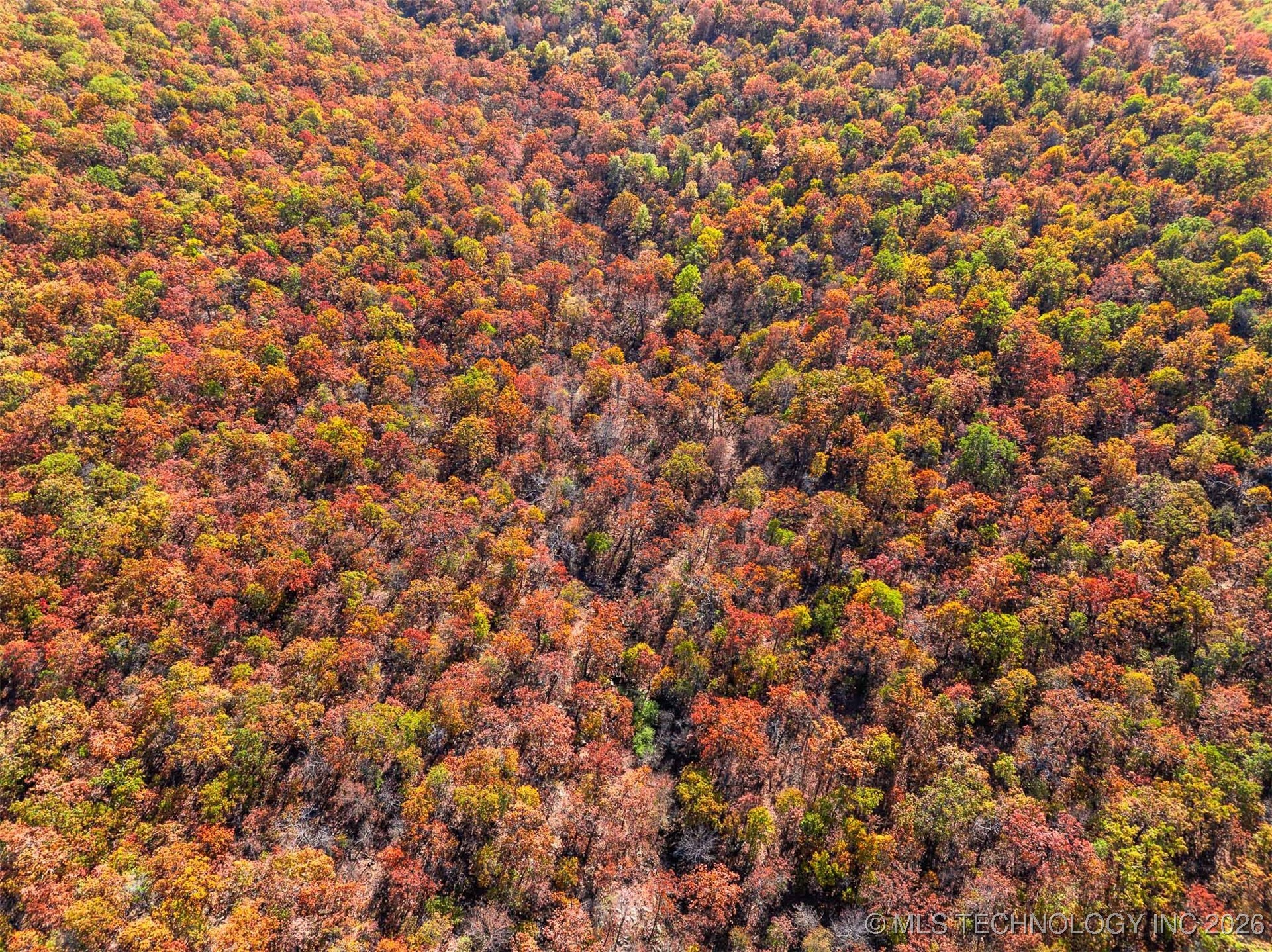 43rd Street N Property Photo 44