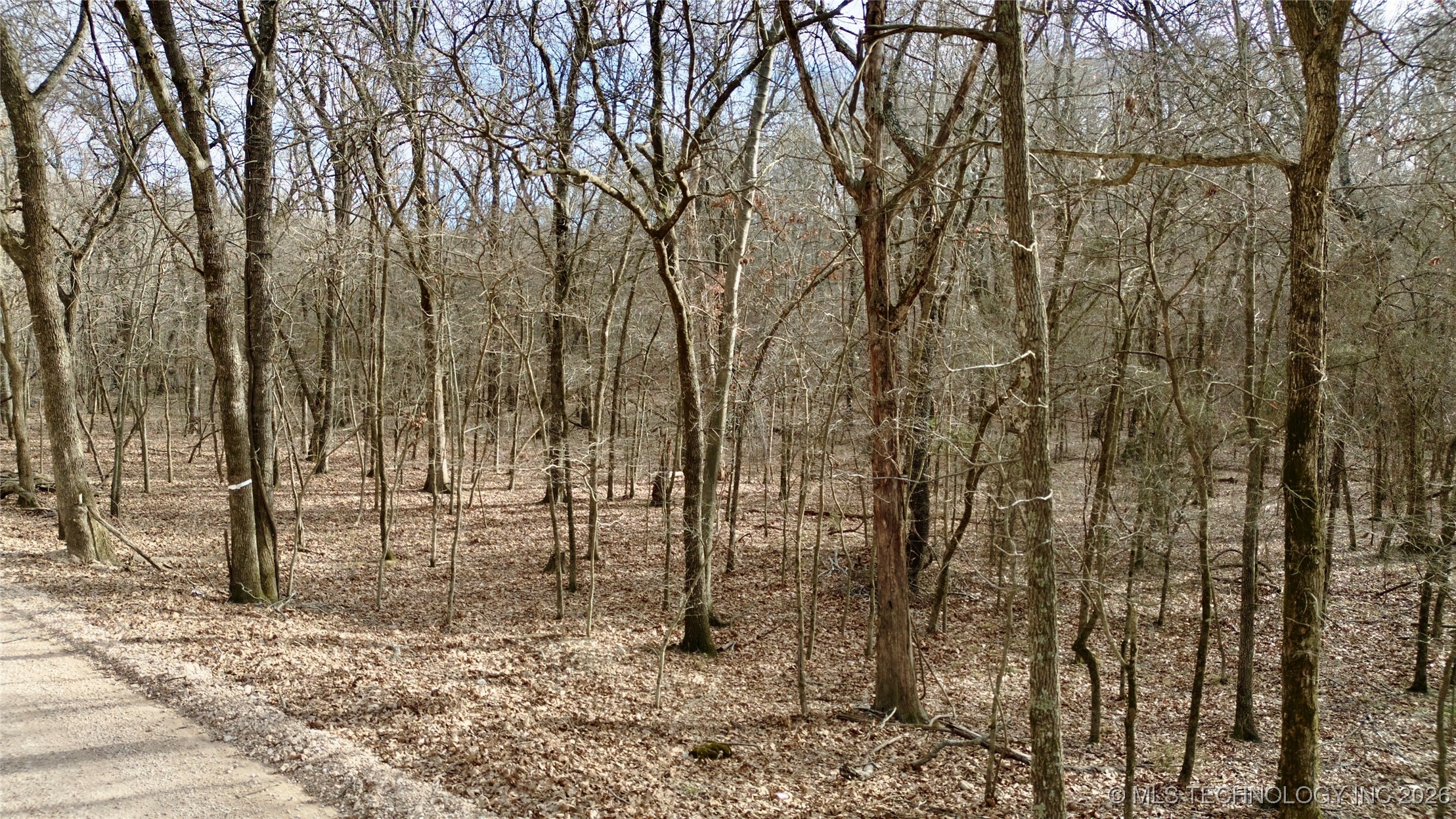 E 340 Road Property Photo 11