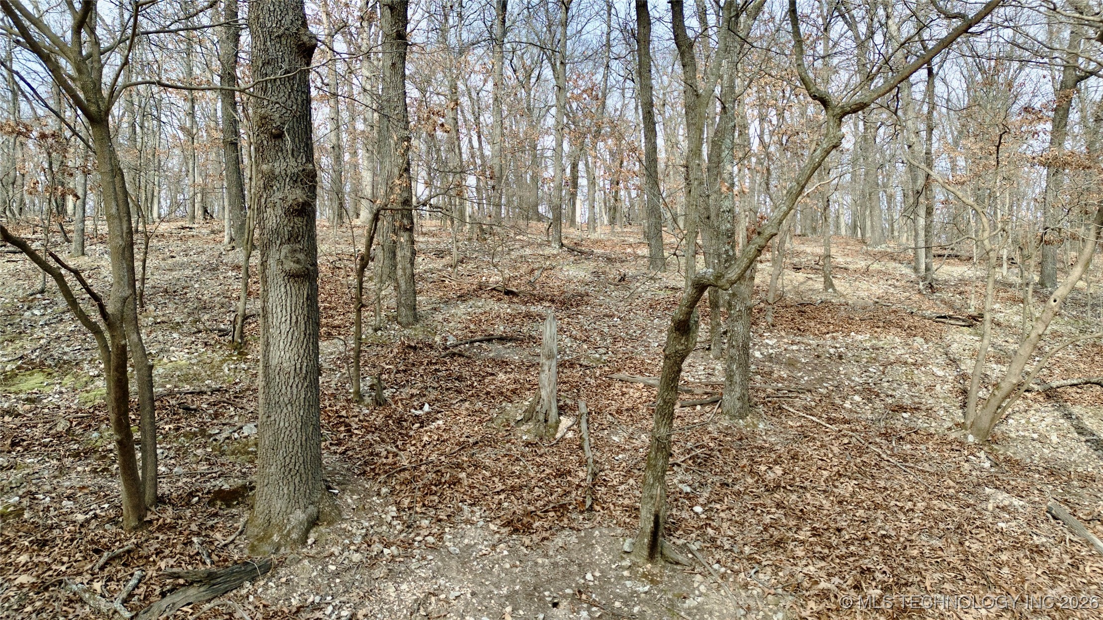 E 340 Road Property Photo 35