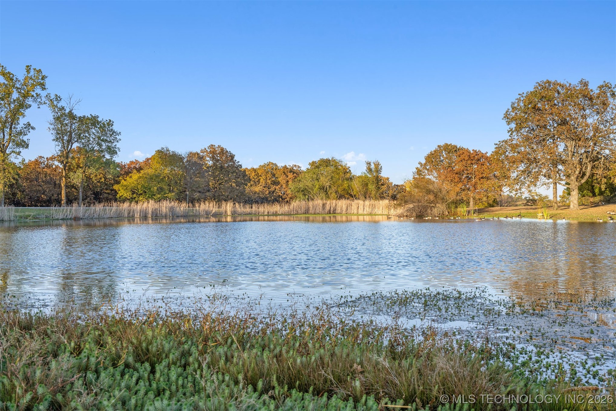 5323 31st Street N Property Photo 75