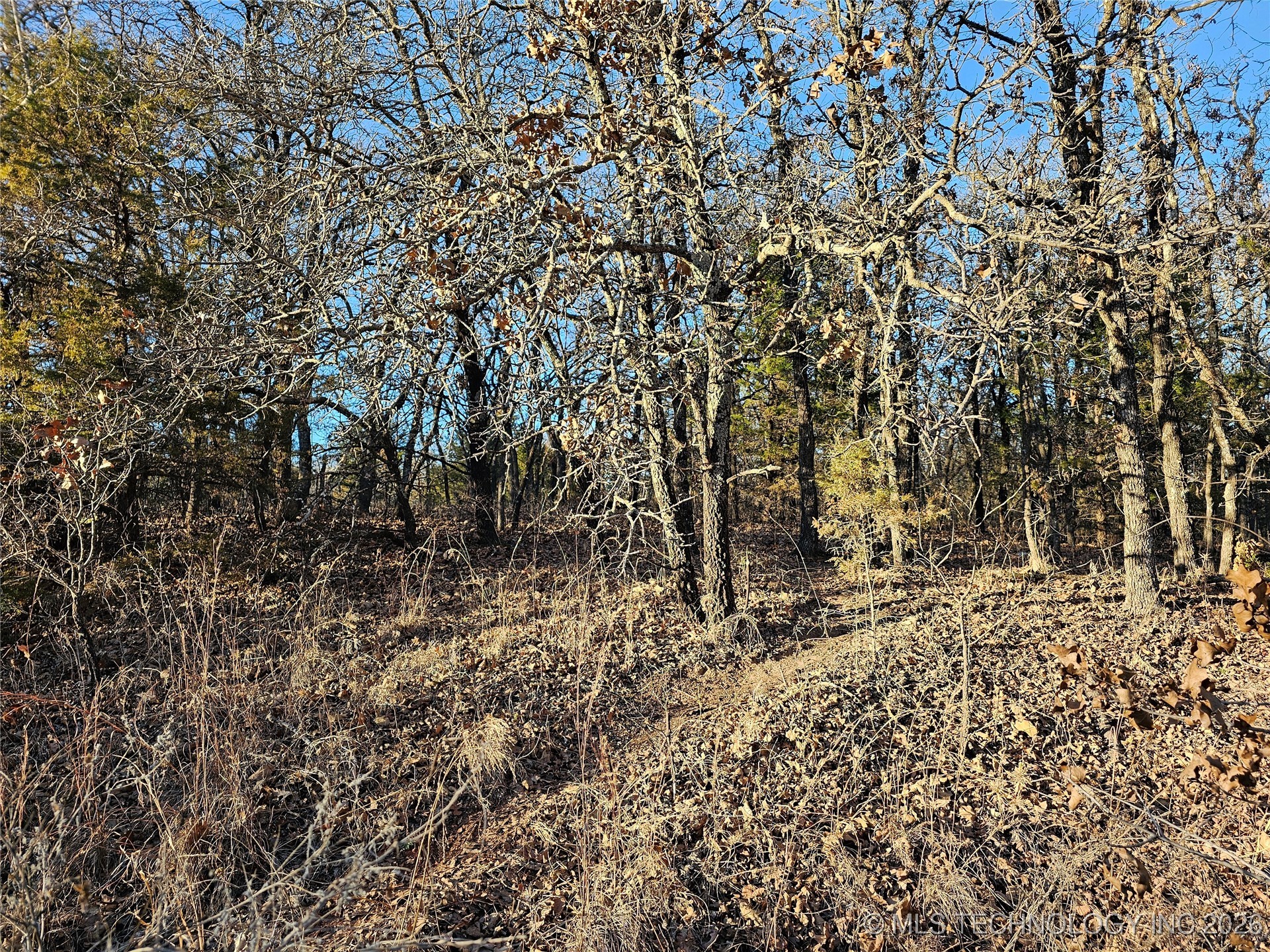 0000 S Todd Drive Property Photo 22