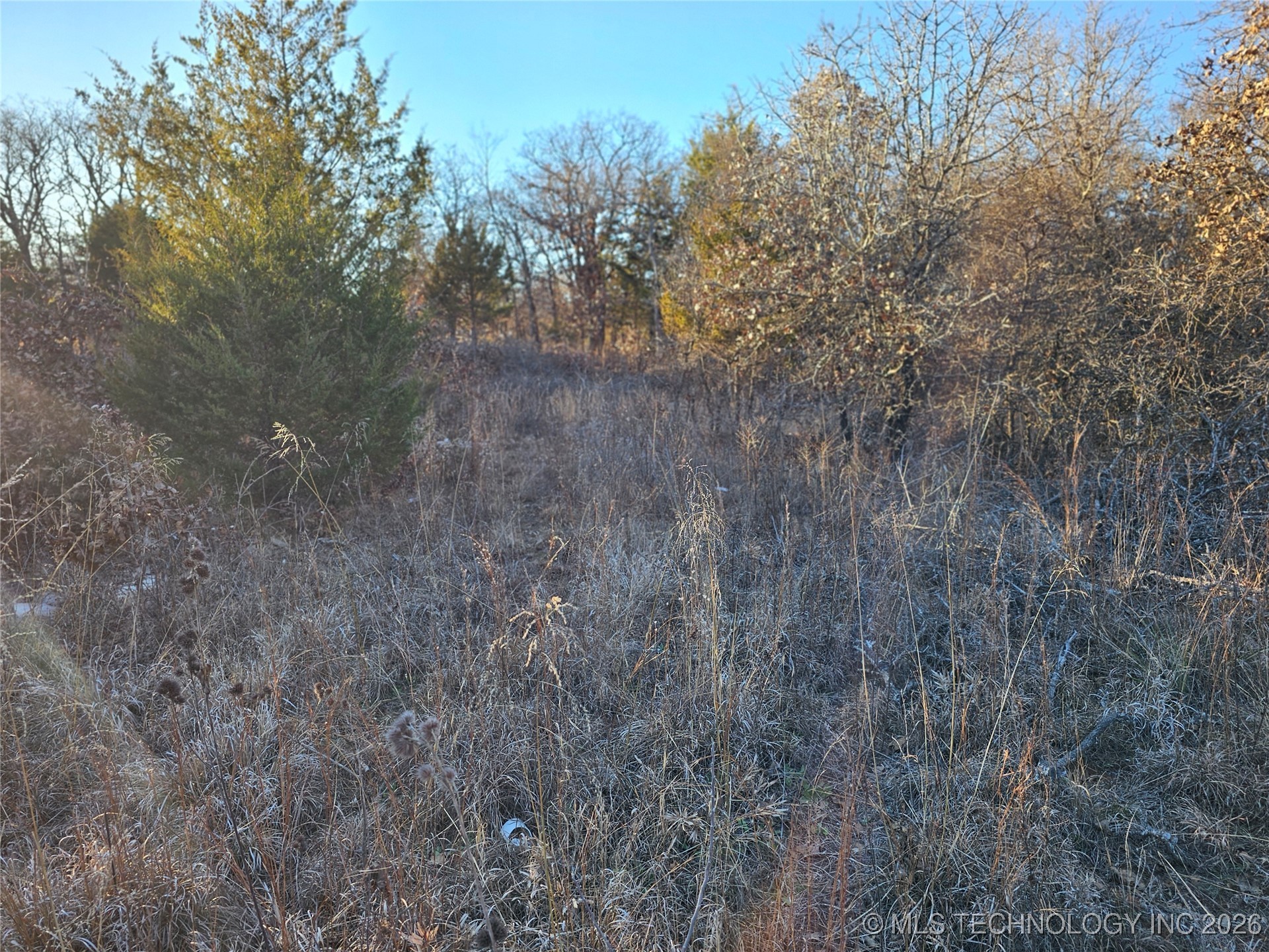 0000 S Todd Drive Property Photo 23