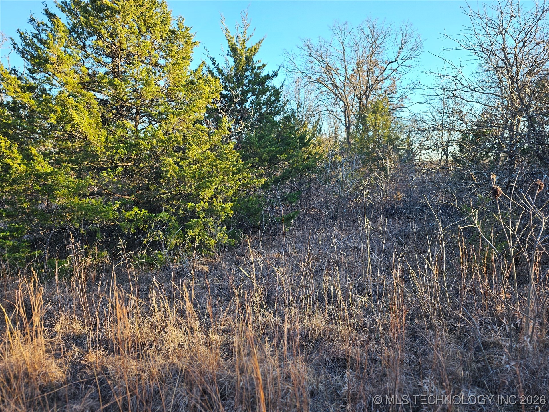 0000 S Todd Drive Property Photo 24