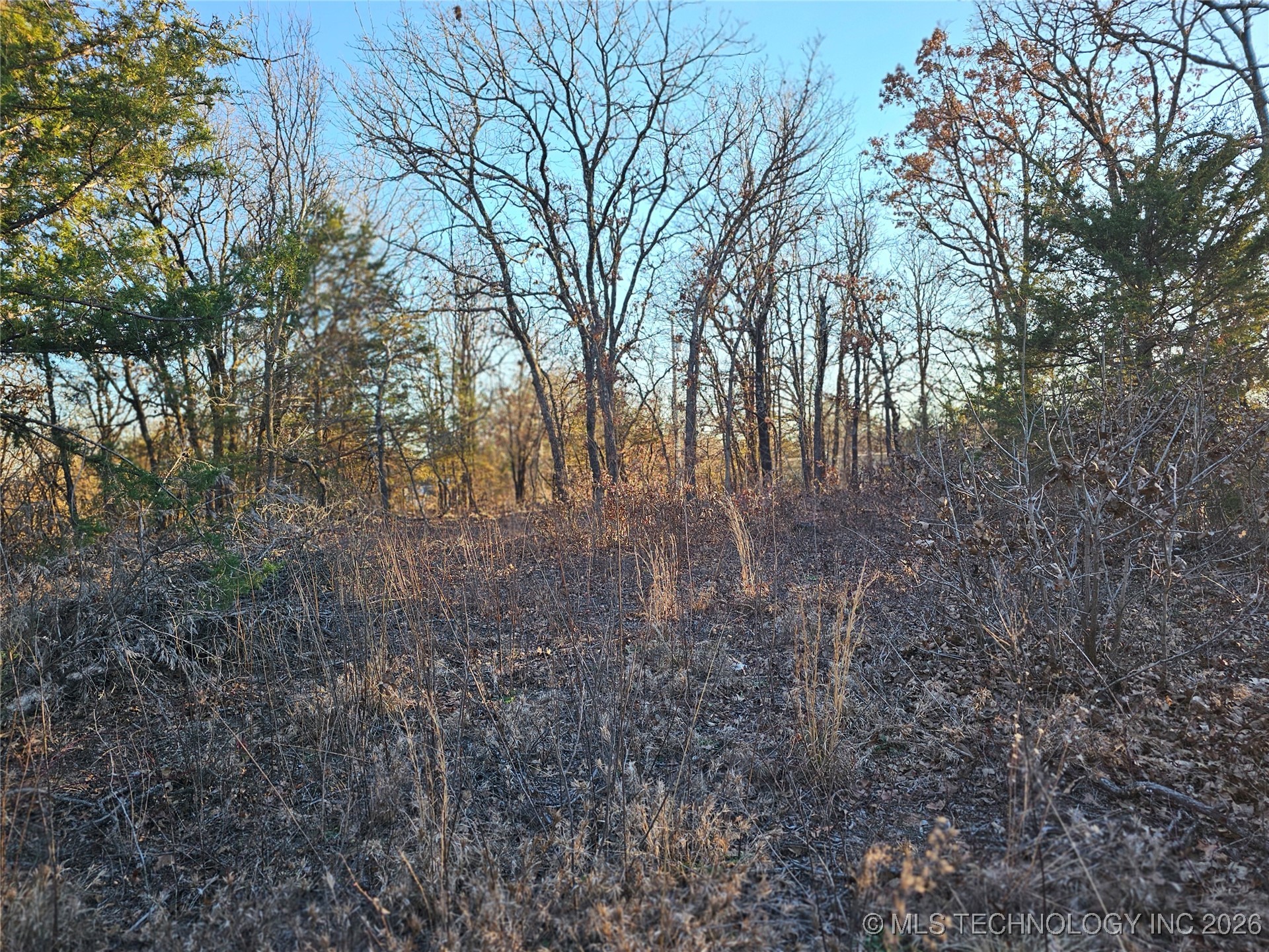 0000 S Todd Drive Property Photo 25