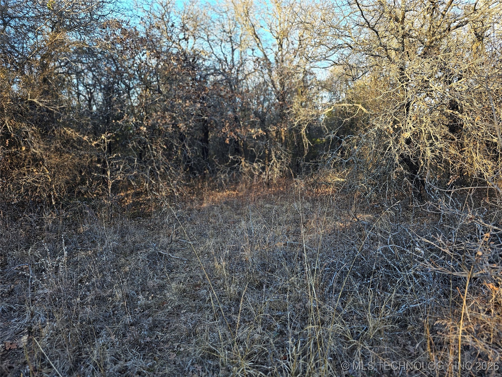 0000 S Todd Drive Property Photo 26