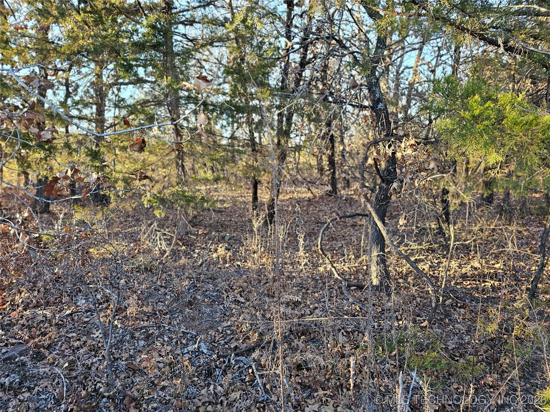 0000 S Todd Drive Property Photo 27