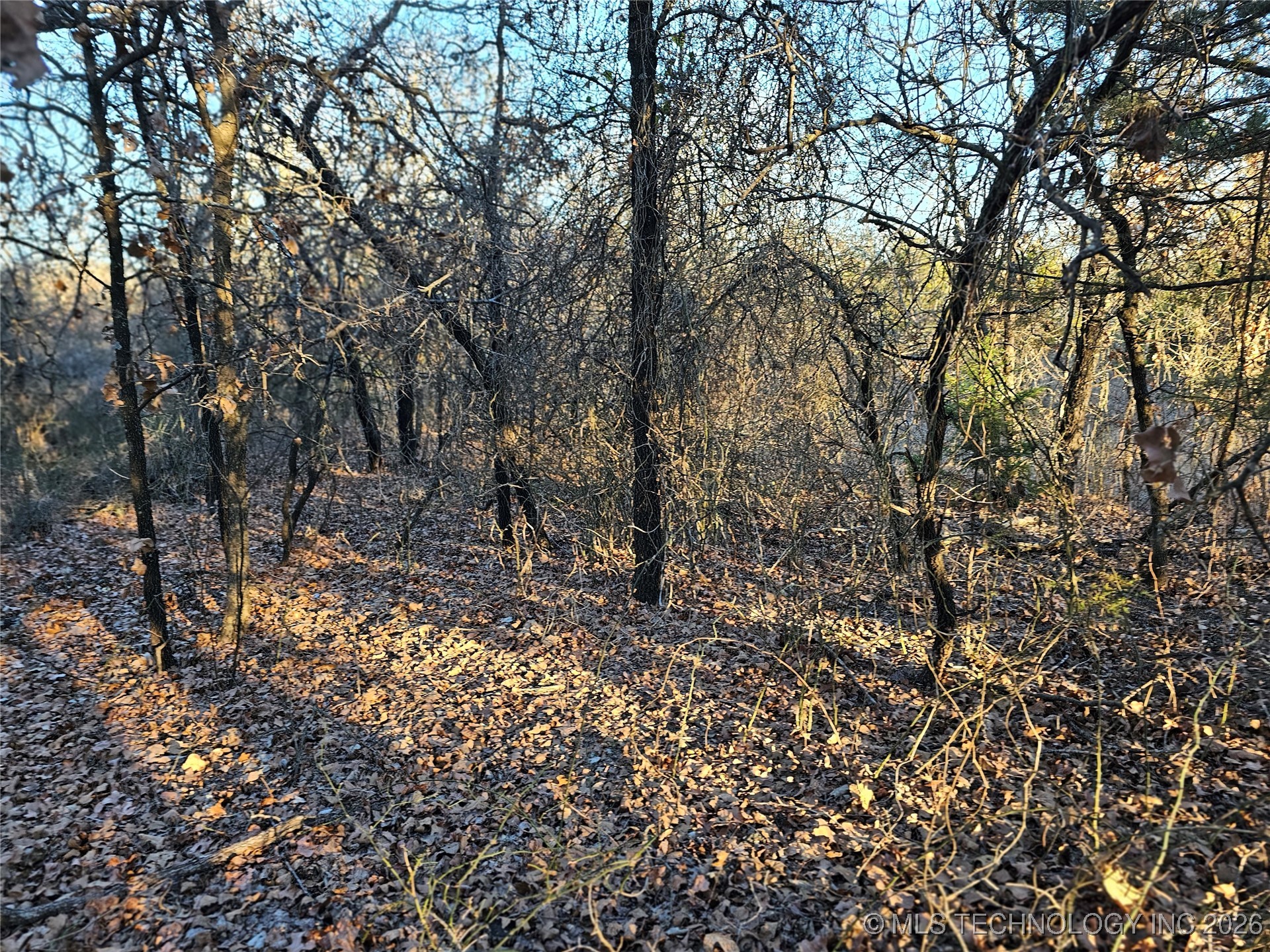 0000 S Todd Drive Property Photo 28