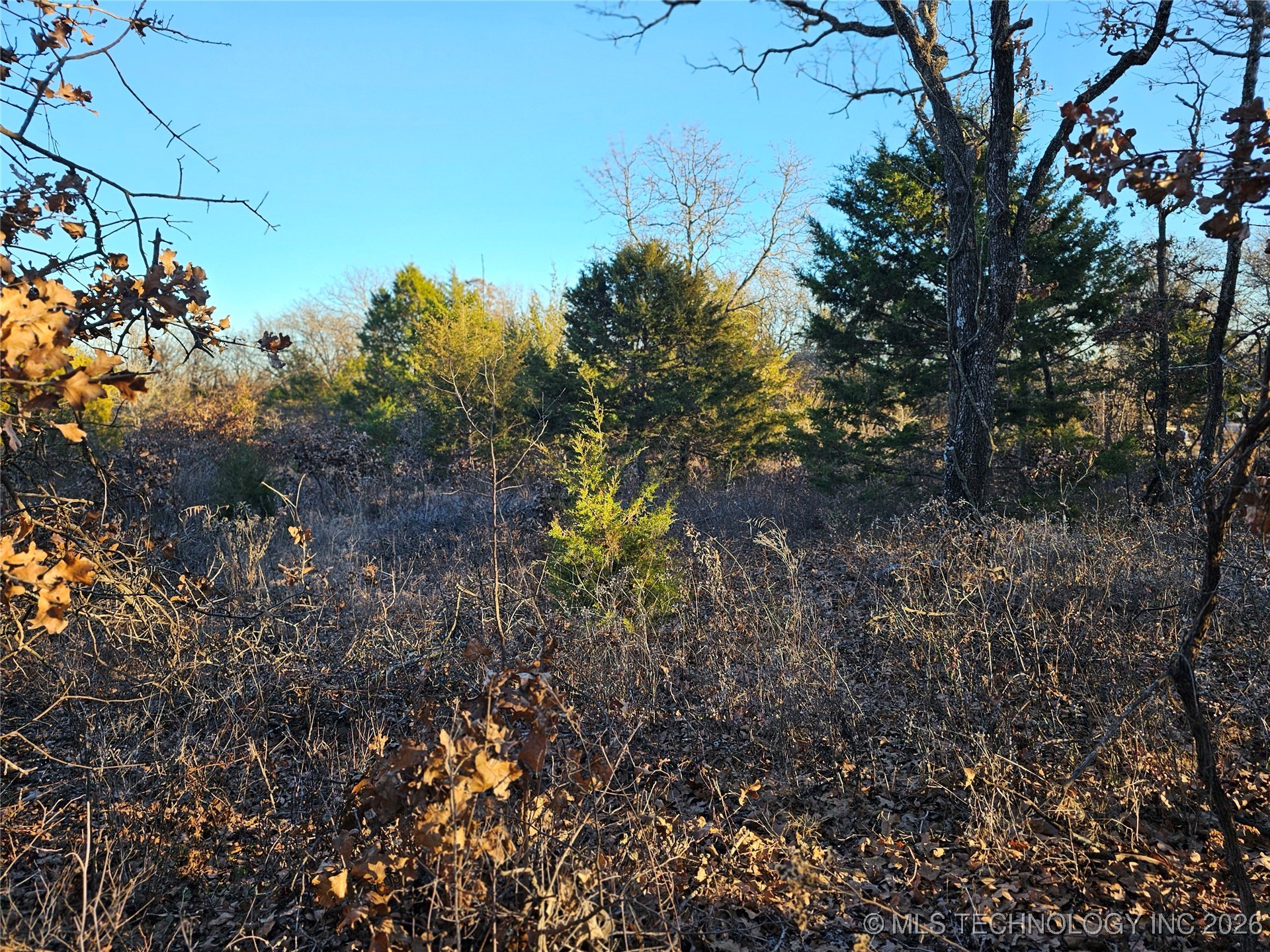 0000 S Todd Drive Property Photo 29