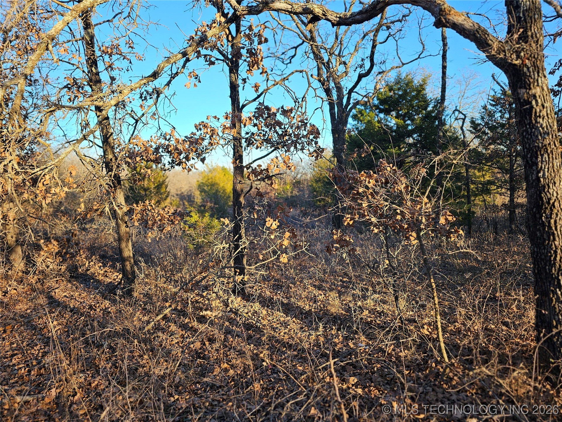 0000 S Todd Drive Property Photo 30