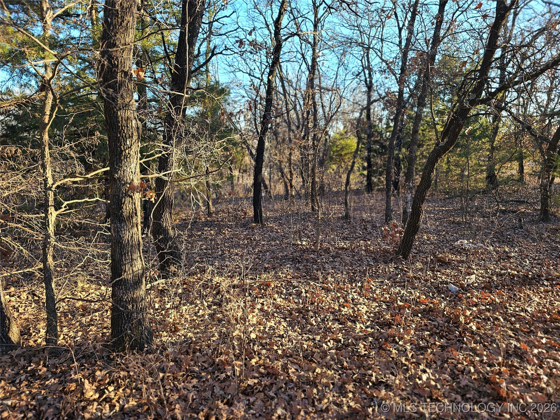 0000 S Todd Drive Property Photo 31