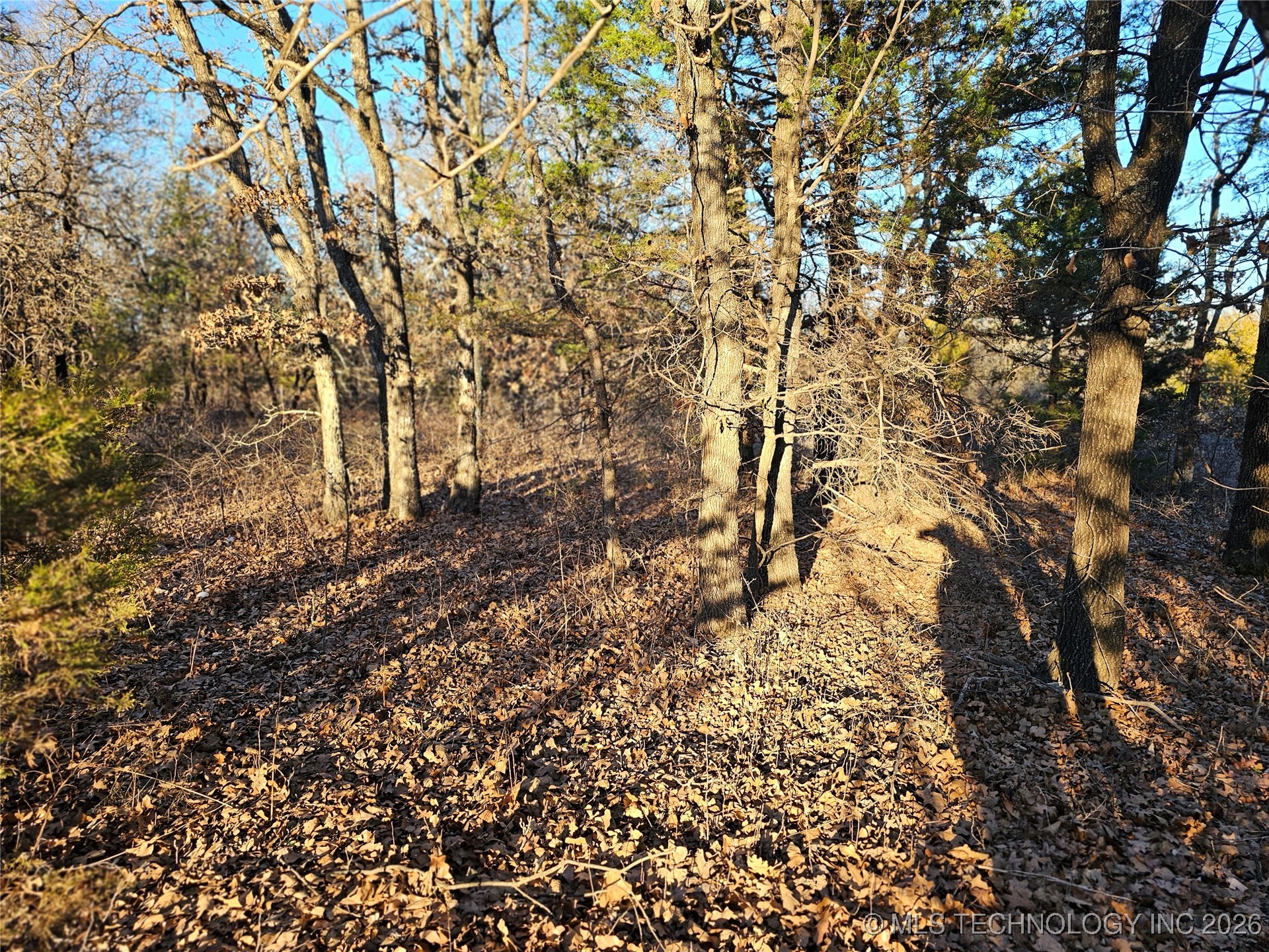 0000 S Todd Drive Property Photo 32