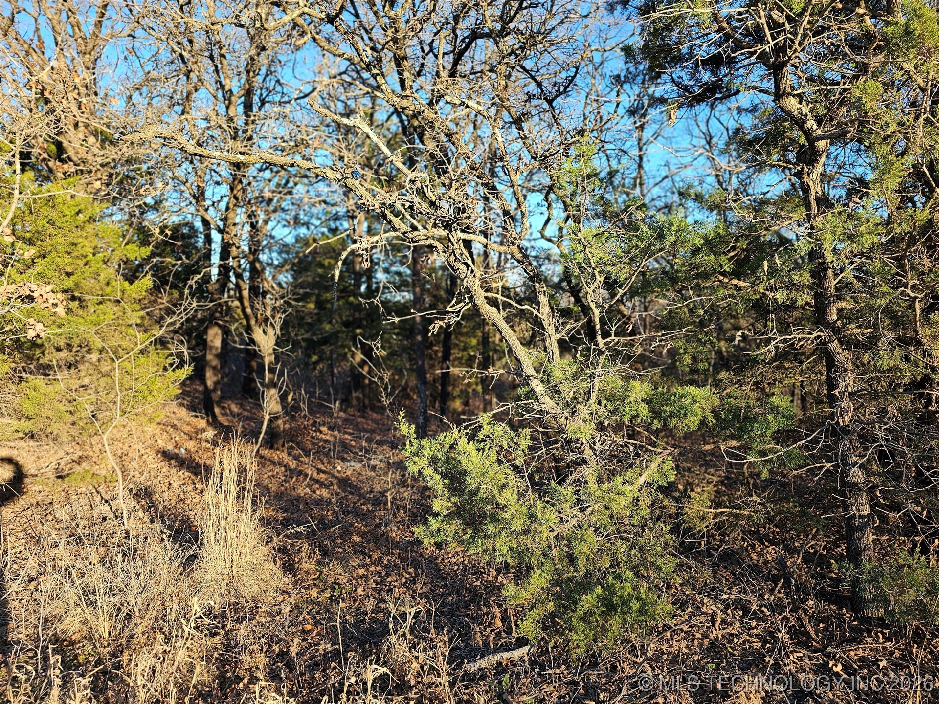 0000 S Todd Drive Property Photo 33