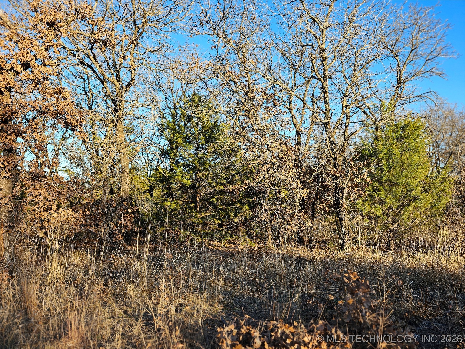 0000 S Todd Drive Property Photo 34