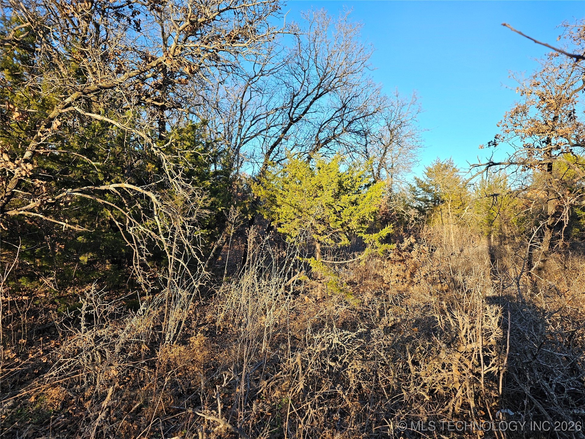 0000 S Todd Drive Property Photo 35