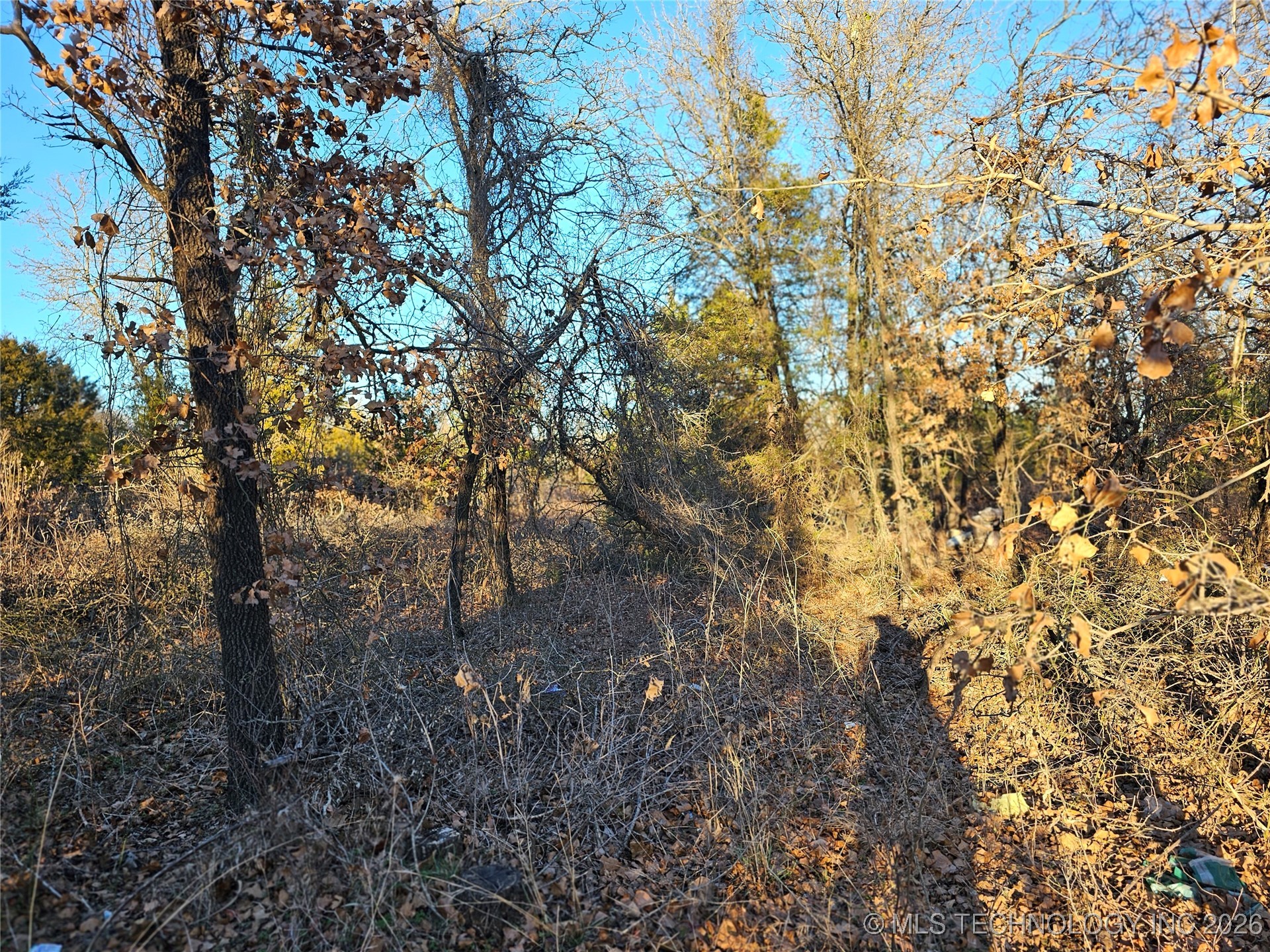 0000 S Todd Drive Property Photo 36