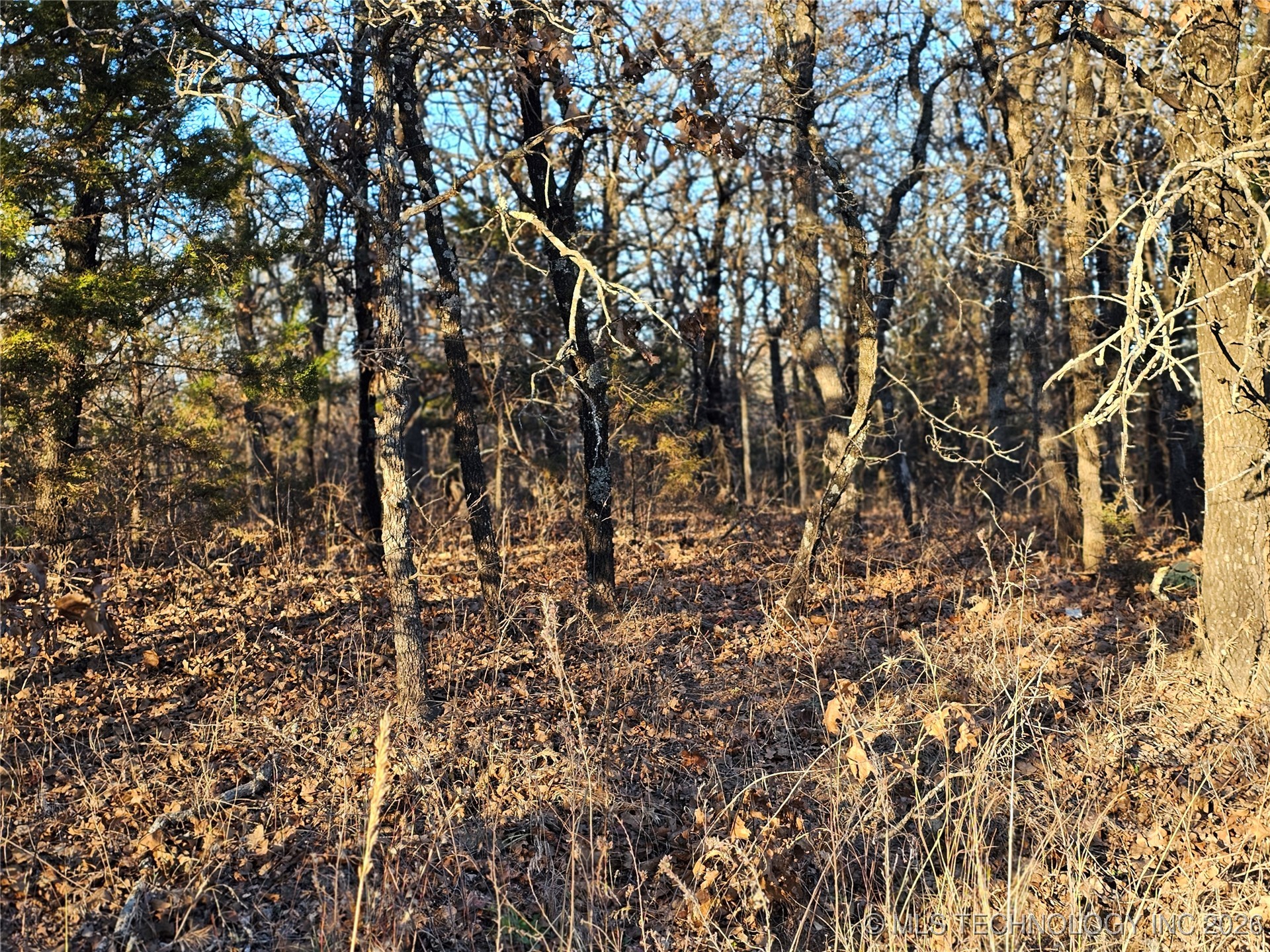 0000 S Todd Drive Property Photo 37