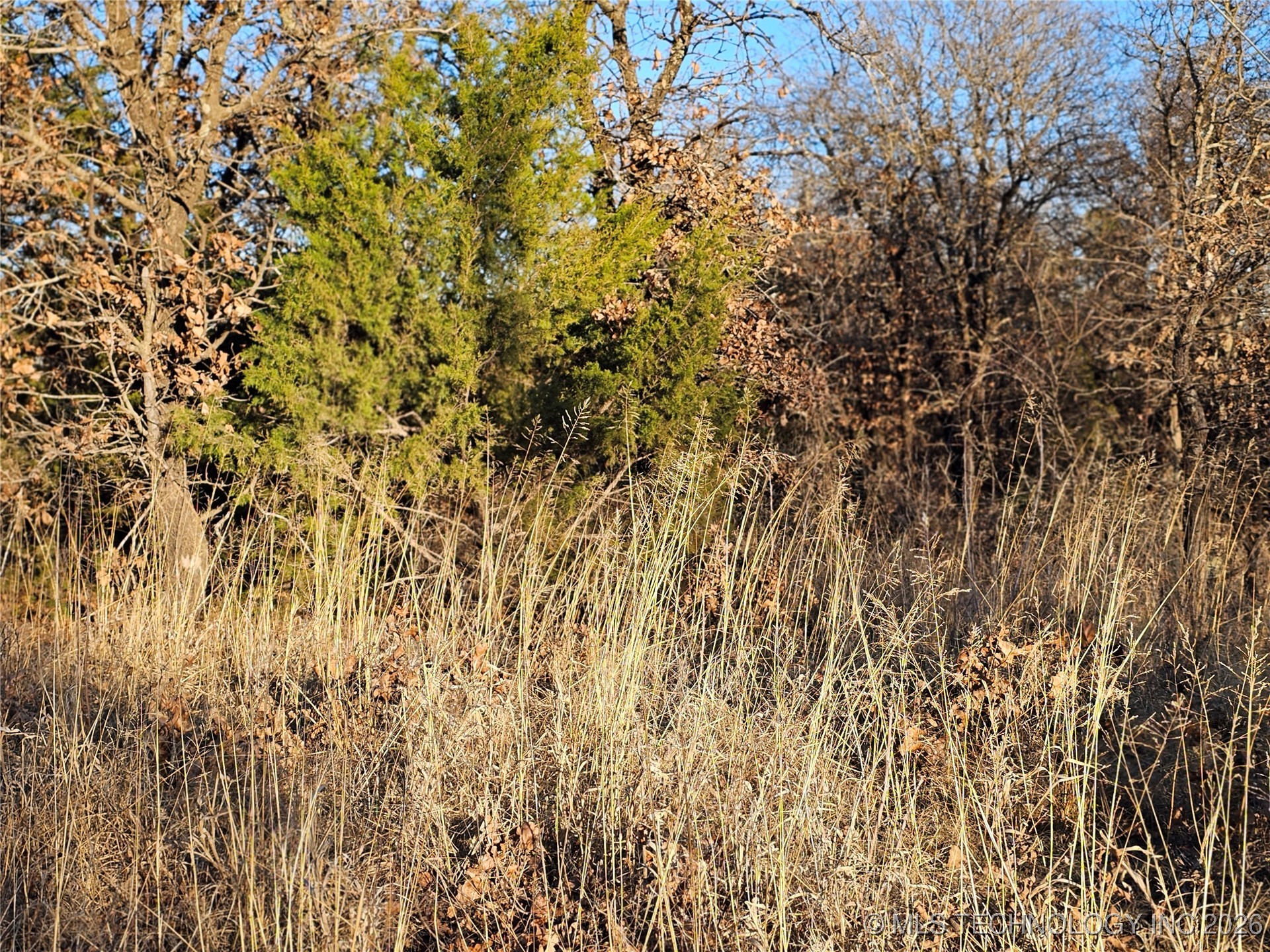 0000 S Todd Drive Property Photo 38