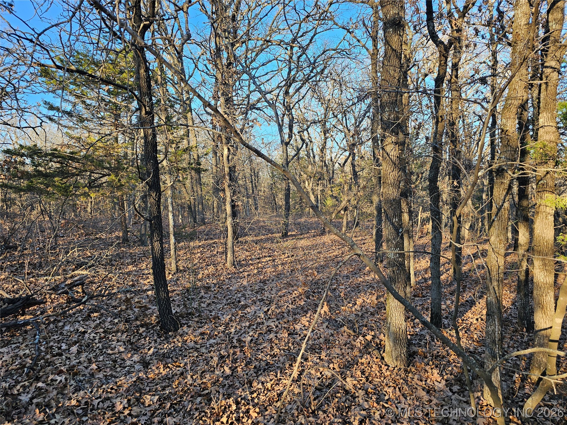 0000 S Todd Drive Property Photo 39