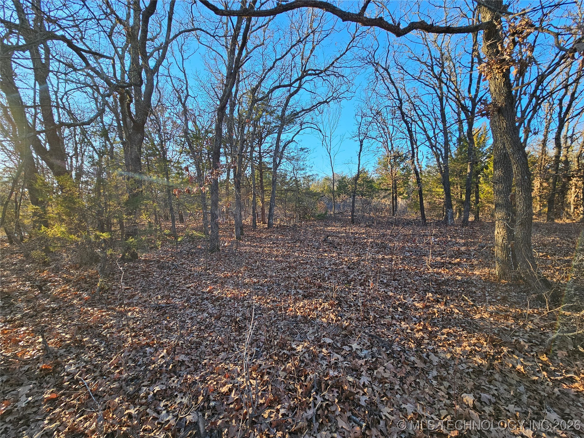 0000 S Todd Drive Property Photo 40