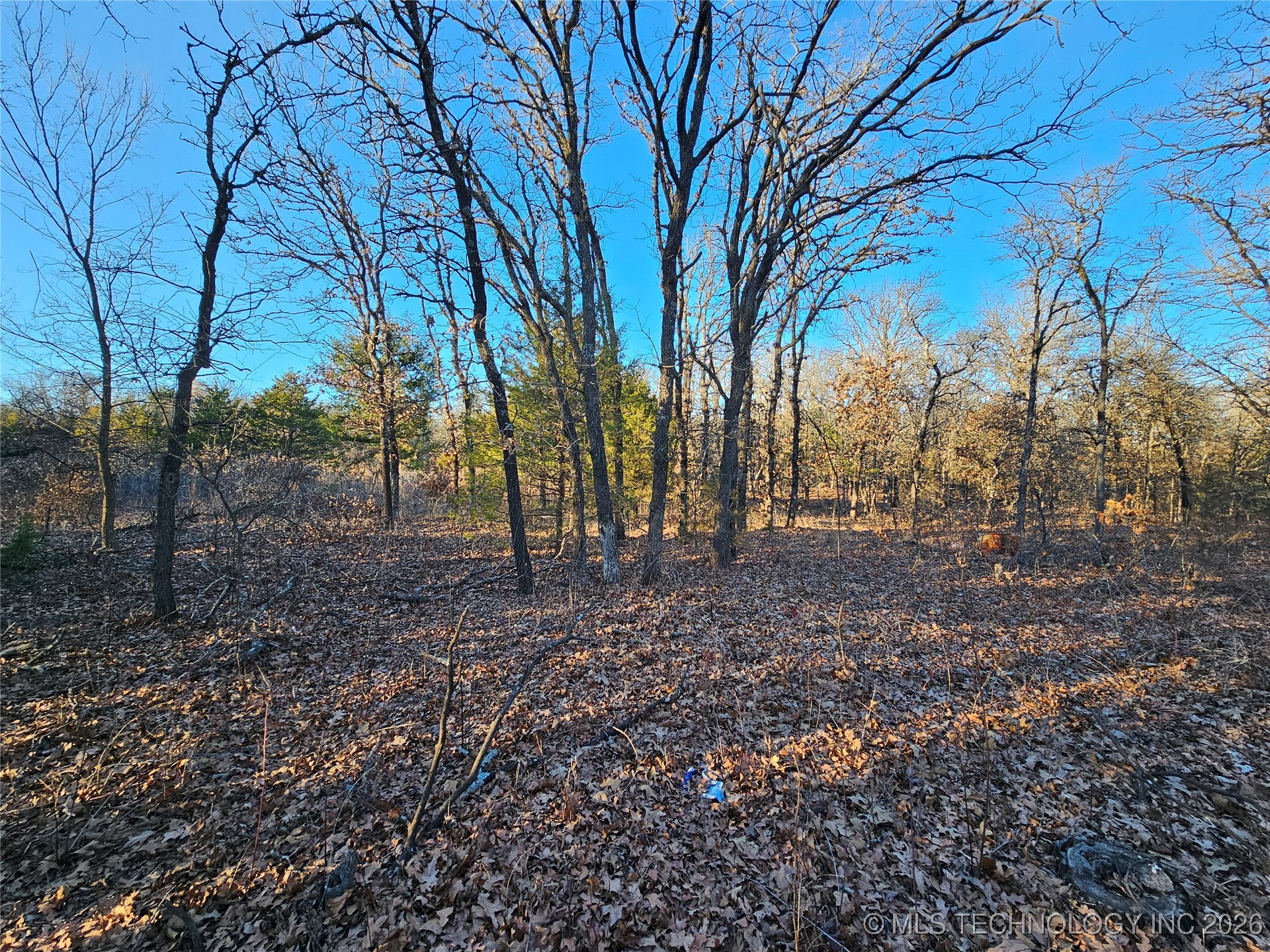 0000 S Todd Drive Property Photo 41