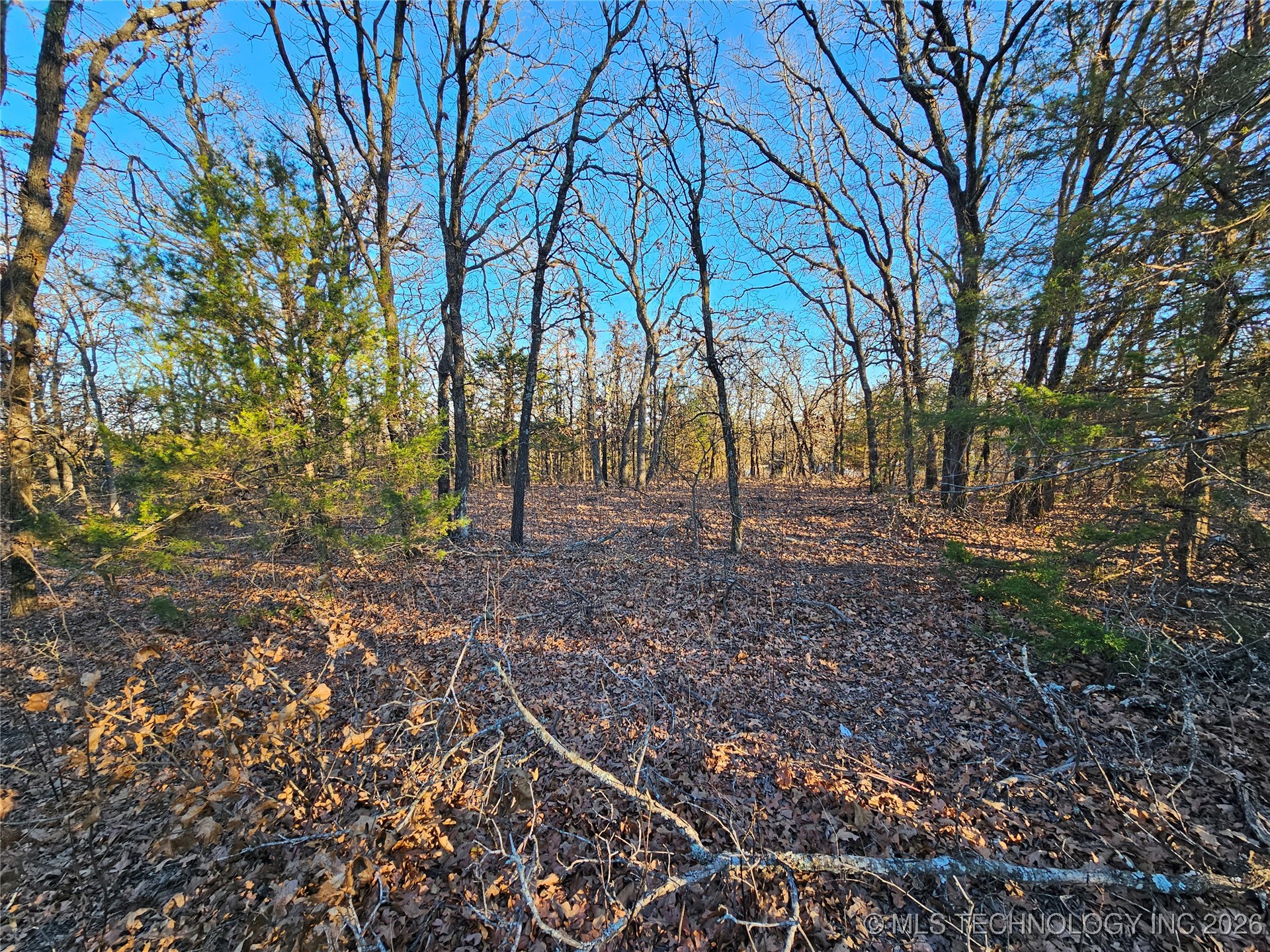 0000 S Todd Drive Property Photo 42