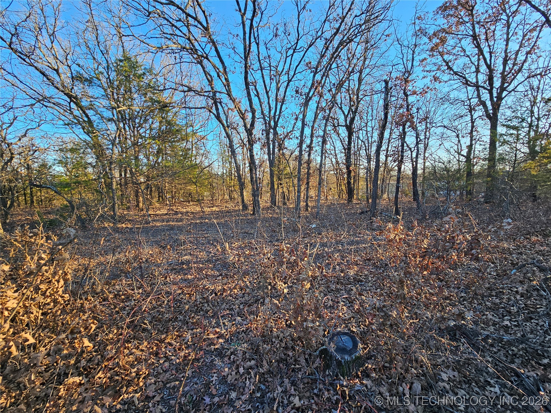 0000 S Todd Drive Property Photo 43