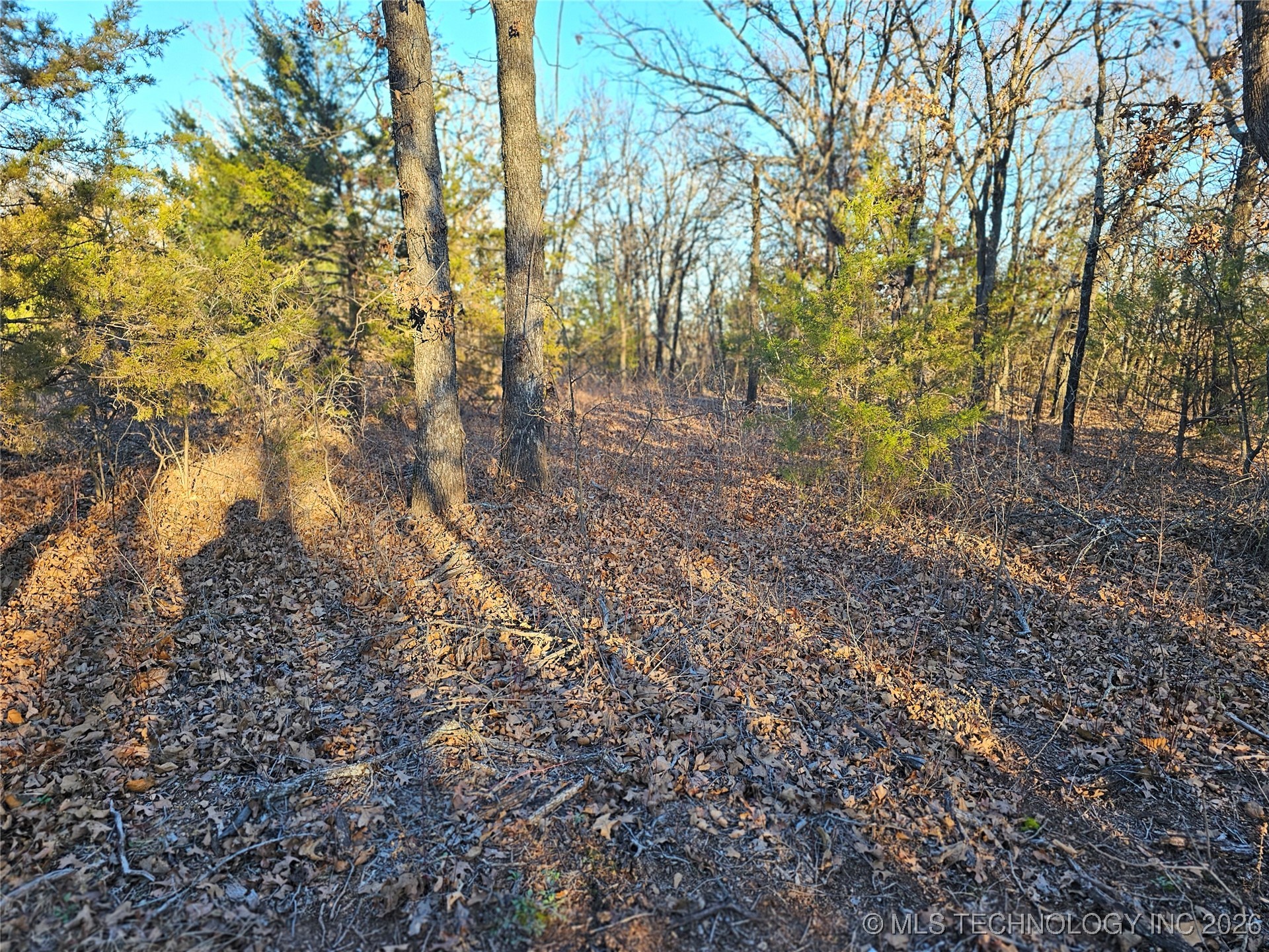 0000 S Todd Drive Property Photo 44