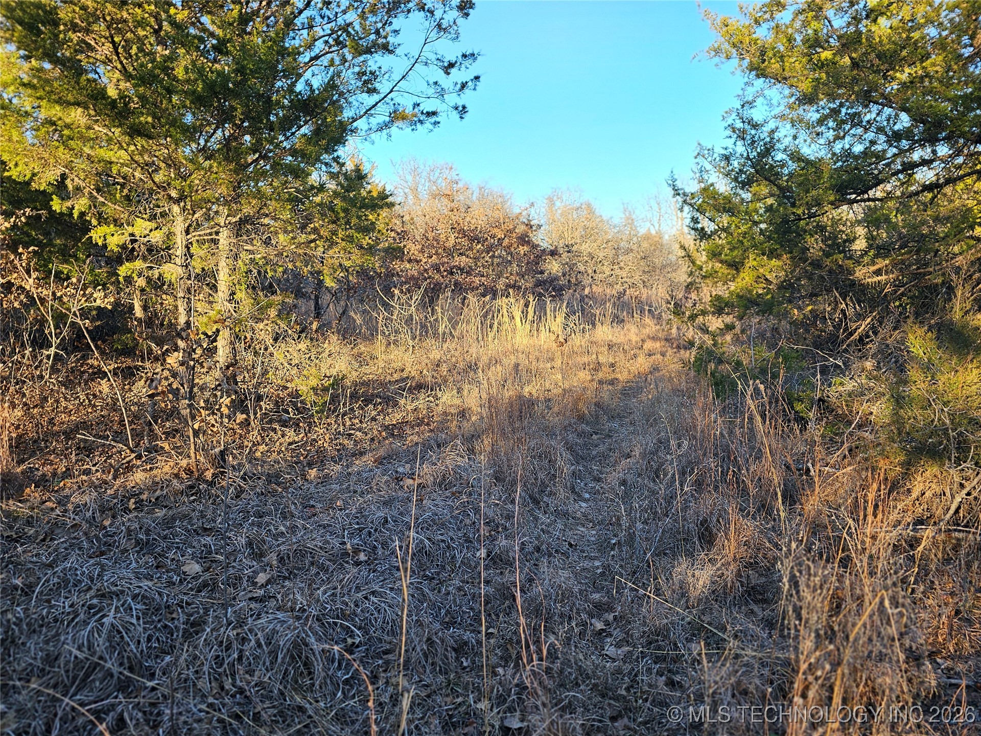 0000 S Todd Drive Property Photo 45