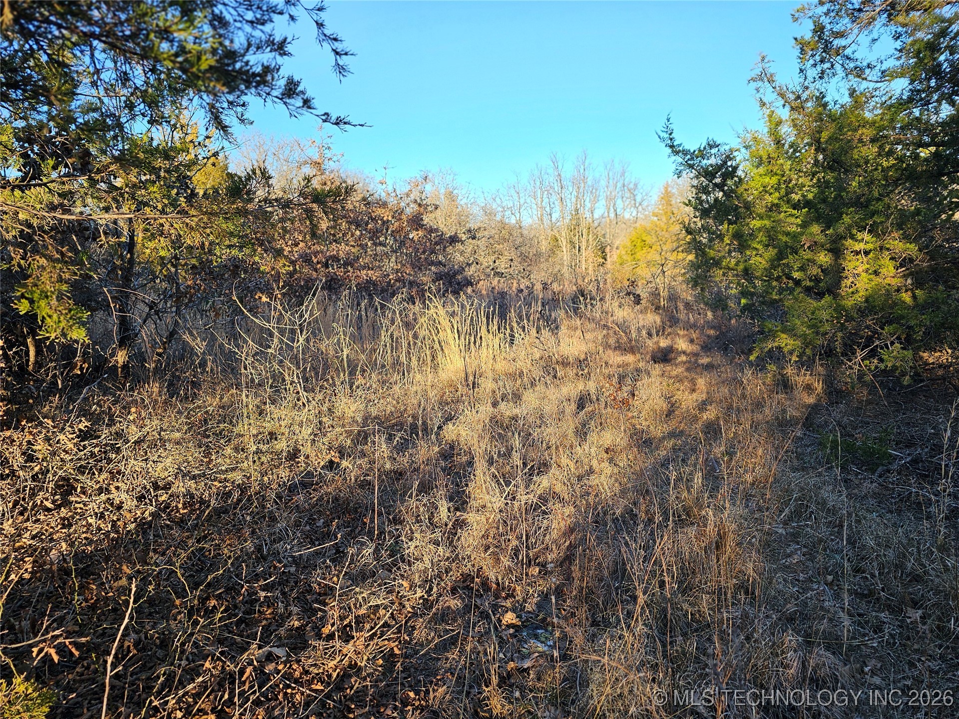 0000 S Todd Drive Property Photo 46