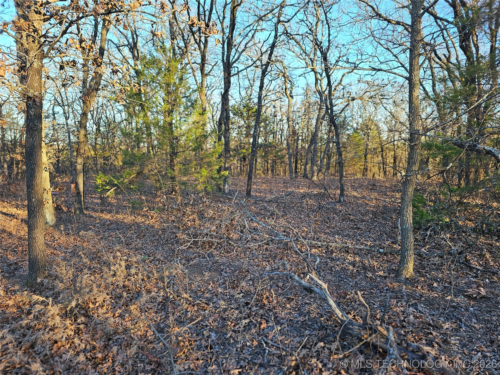 0000 S Todd Drive Property Photo 47