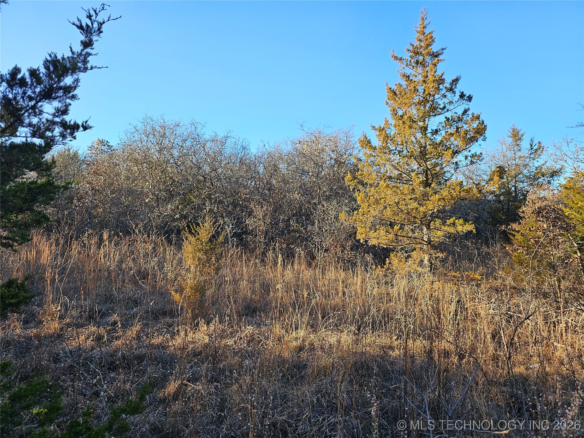 0000 S Todd Drive Property Photo 48