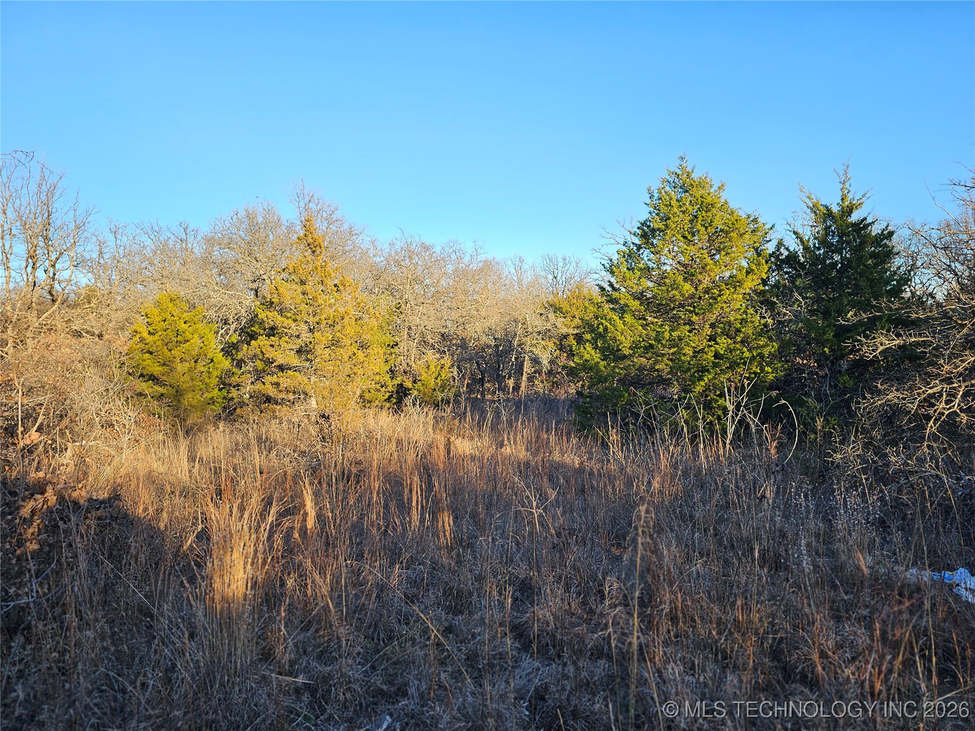 0000 S Todd Drive Property Photo 49