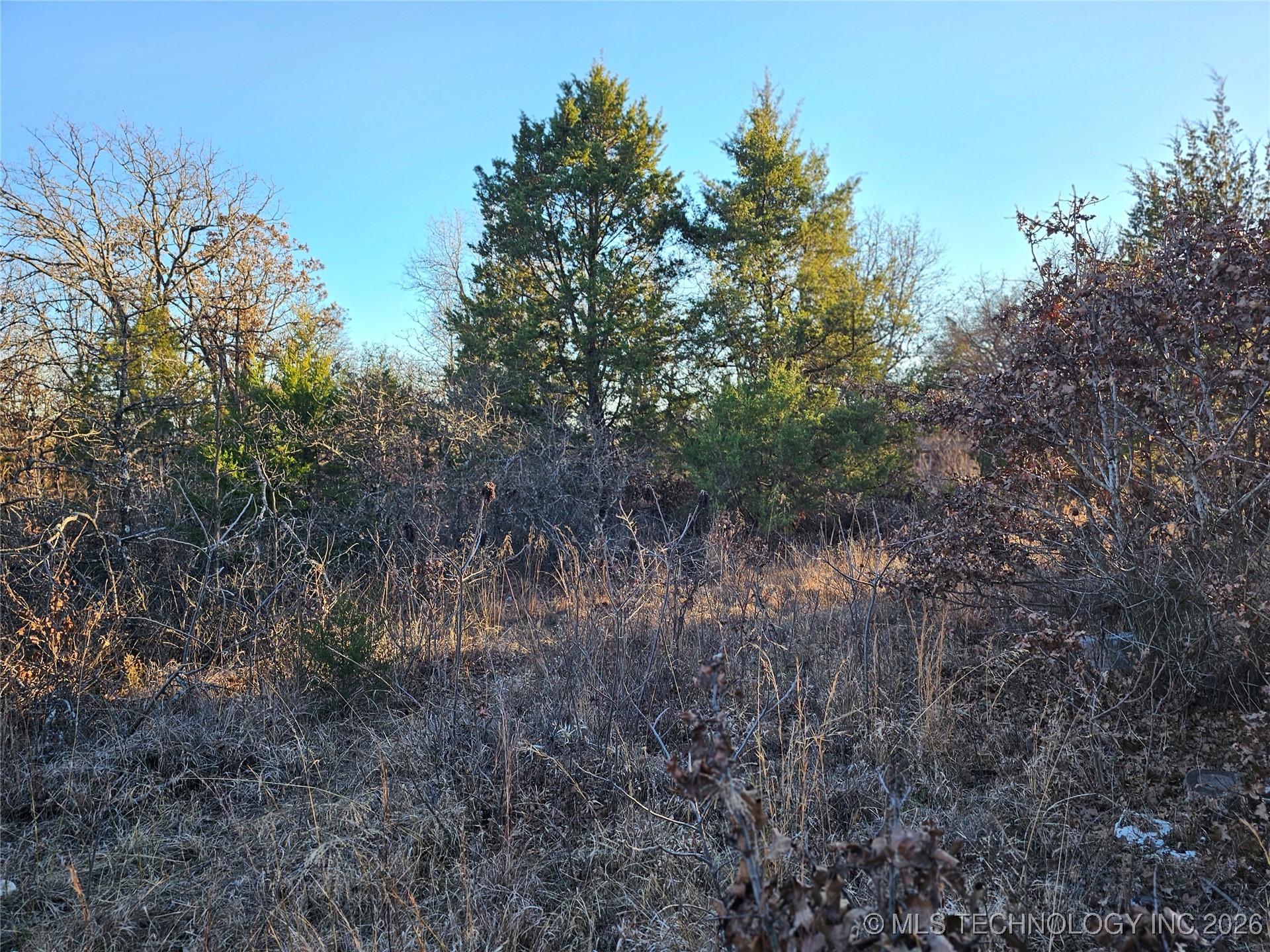 0000 S Todd Drive Property Photo 50