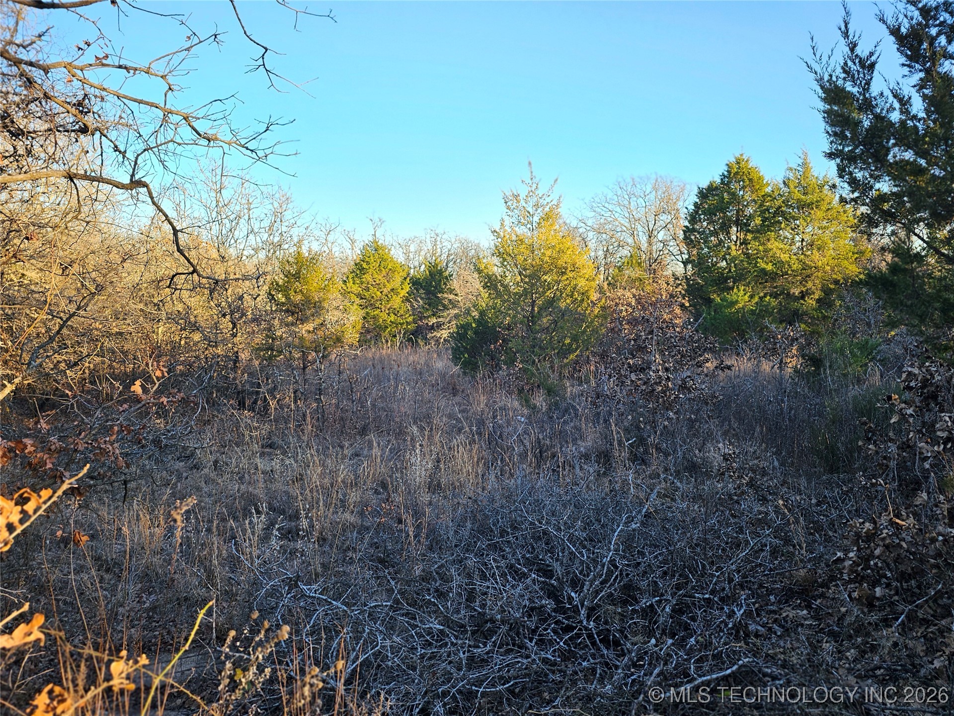 0000 S Todd Drive Property Photo 51