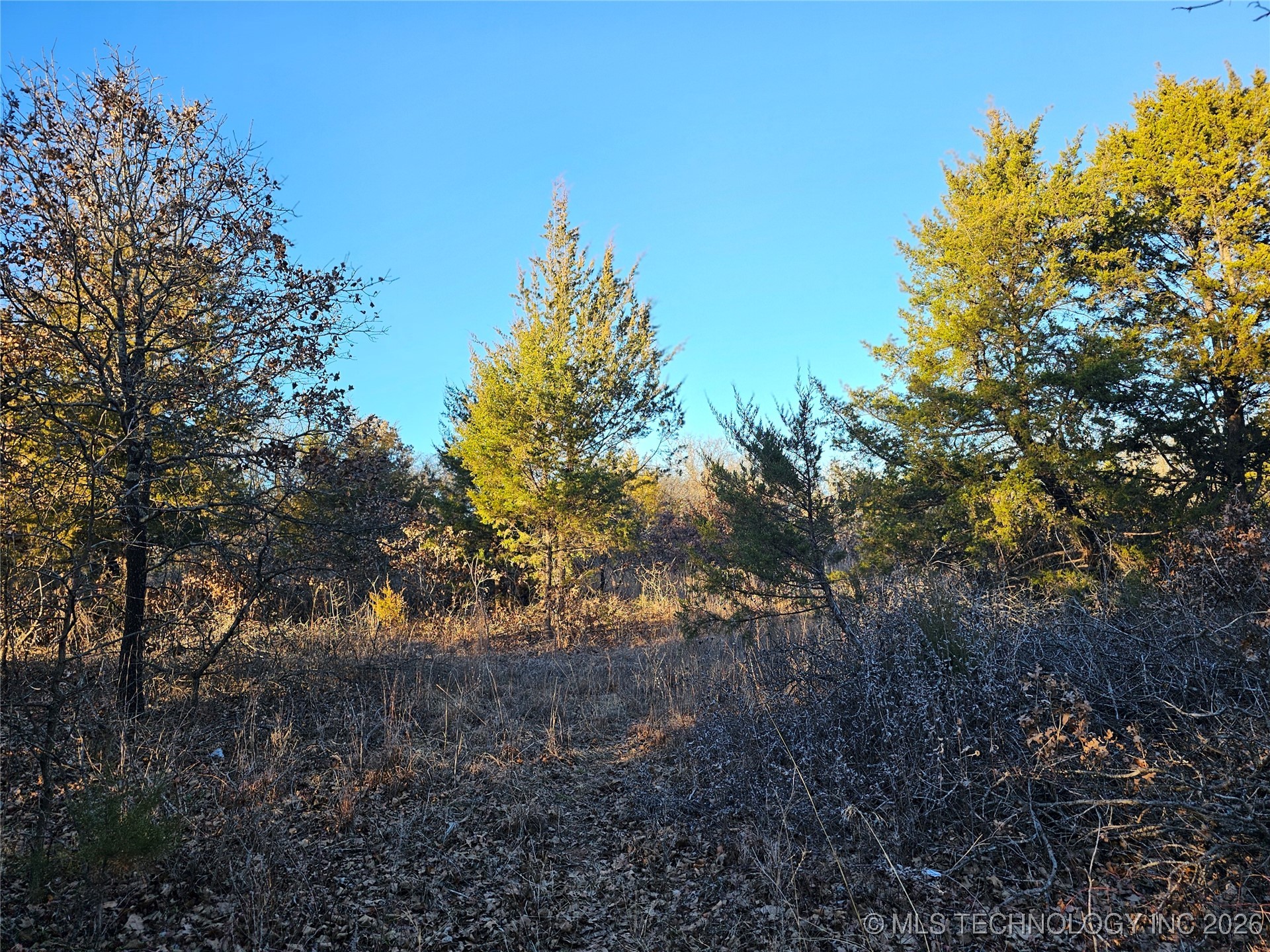 0000 S Todd Drive Property Photo 52