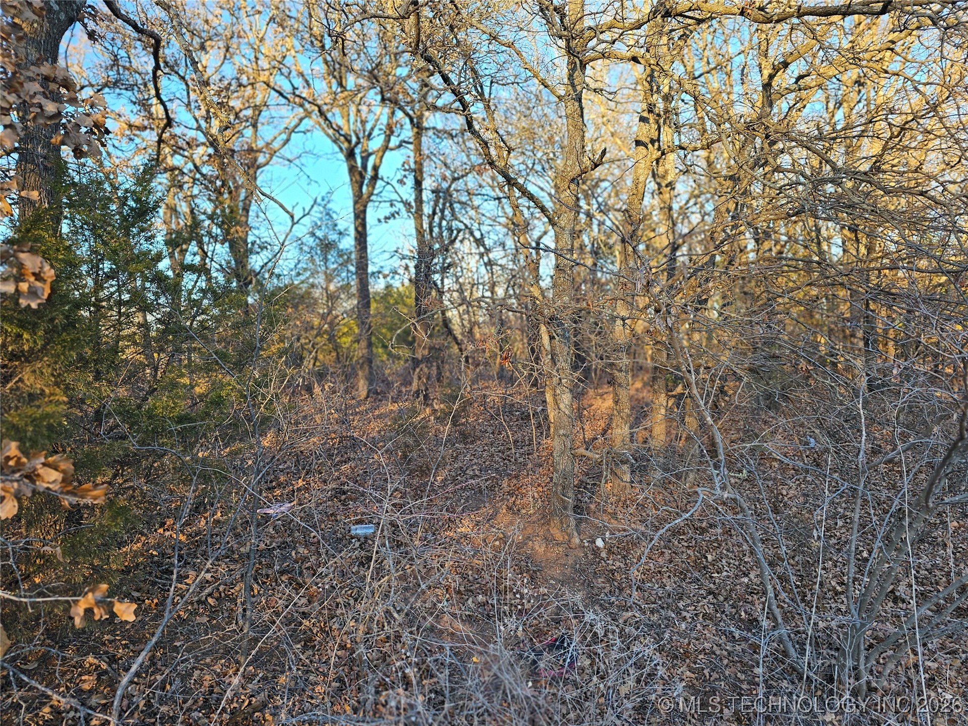 0000 S Todd Drive Property Photo 53