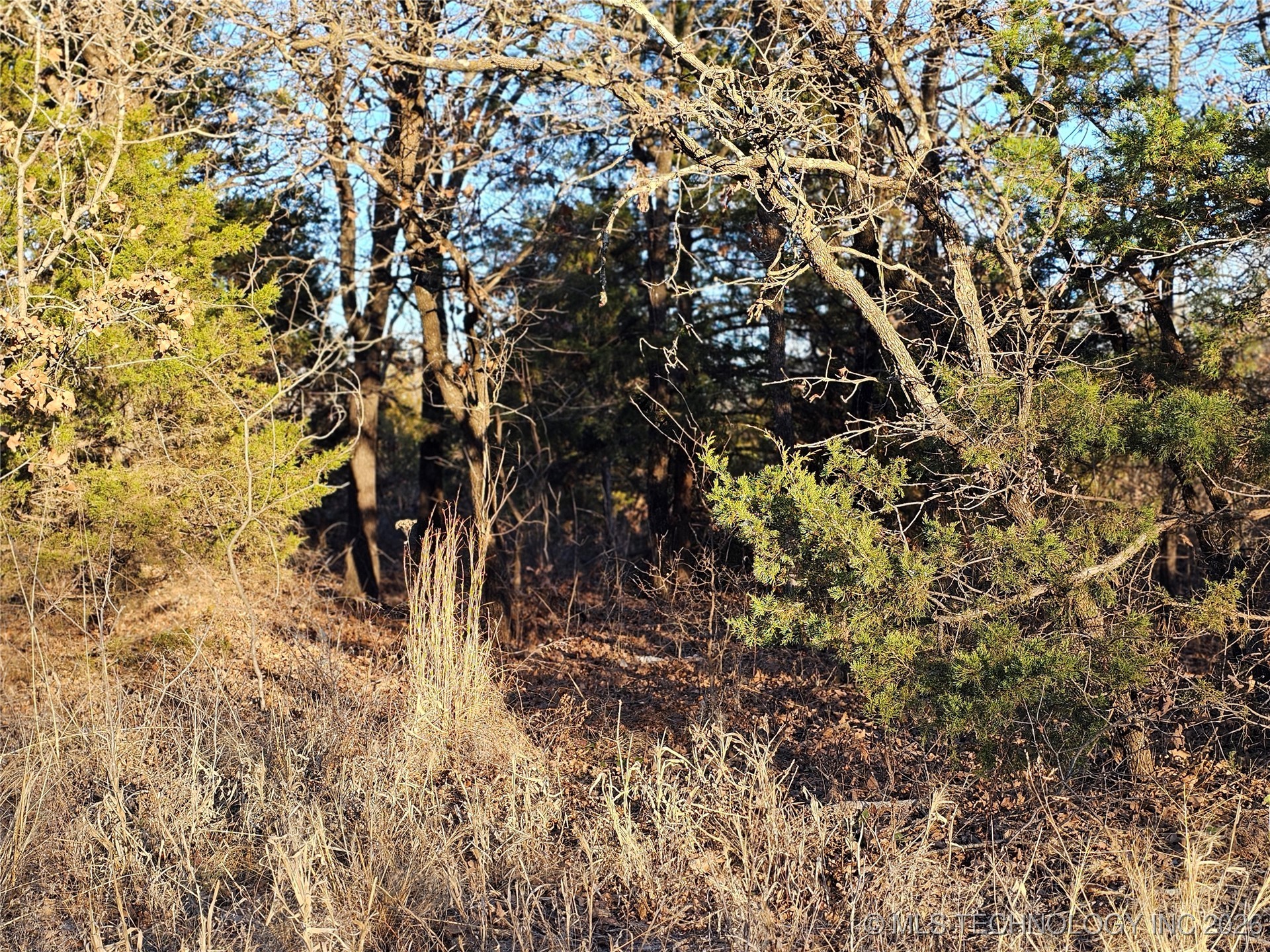 0000 S Todd Drive Property Photo 55