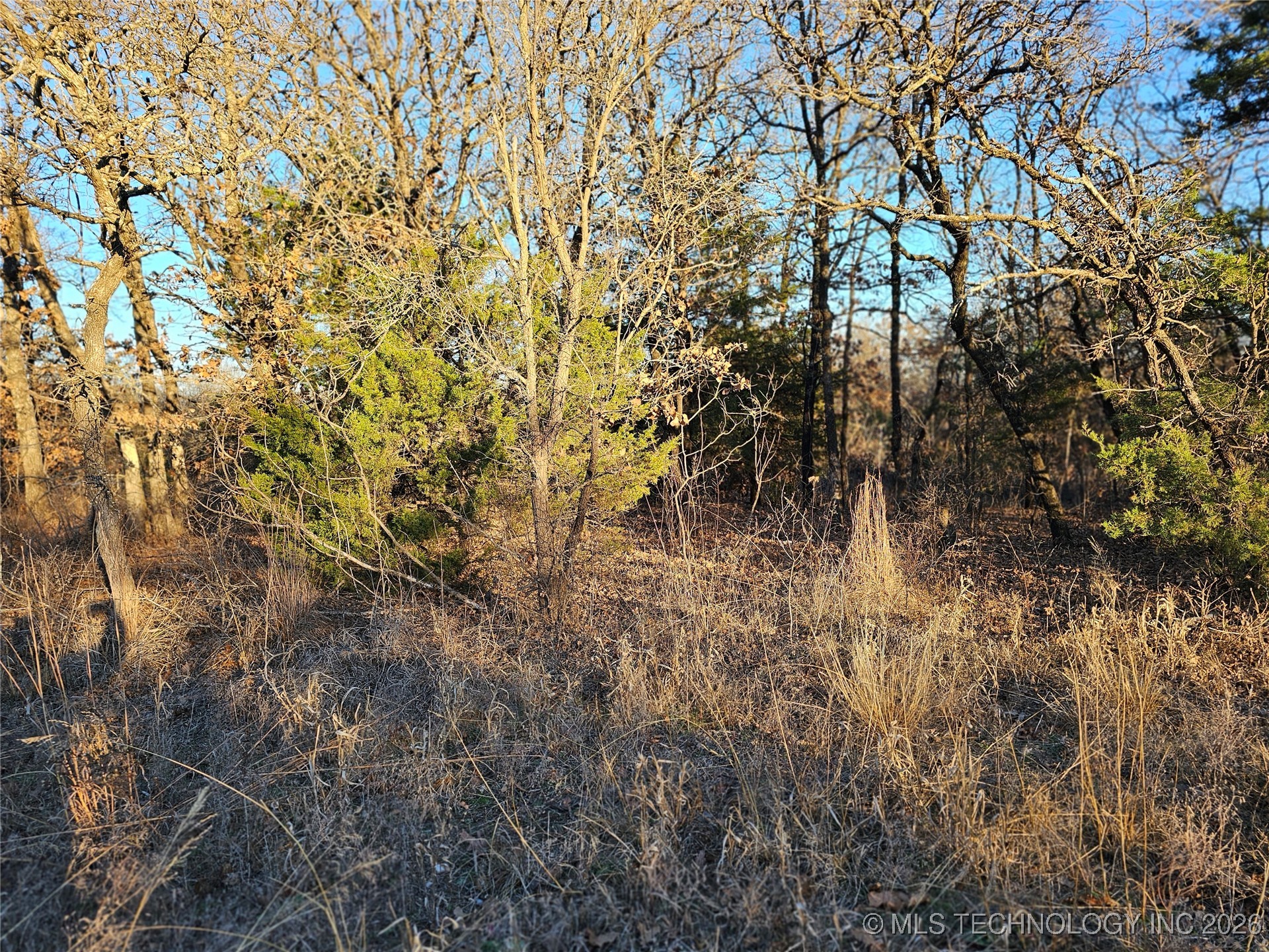 0000 S Todd Drive Property Photo 56