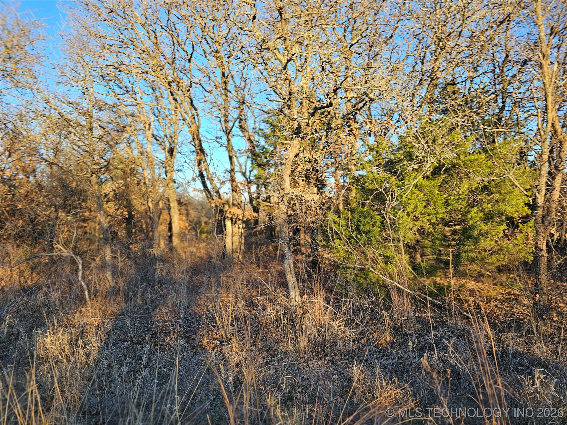 0000 S Todd Drive Property Photo 57