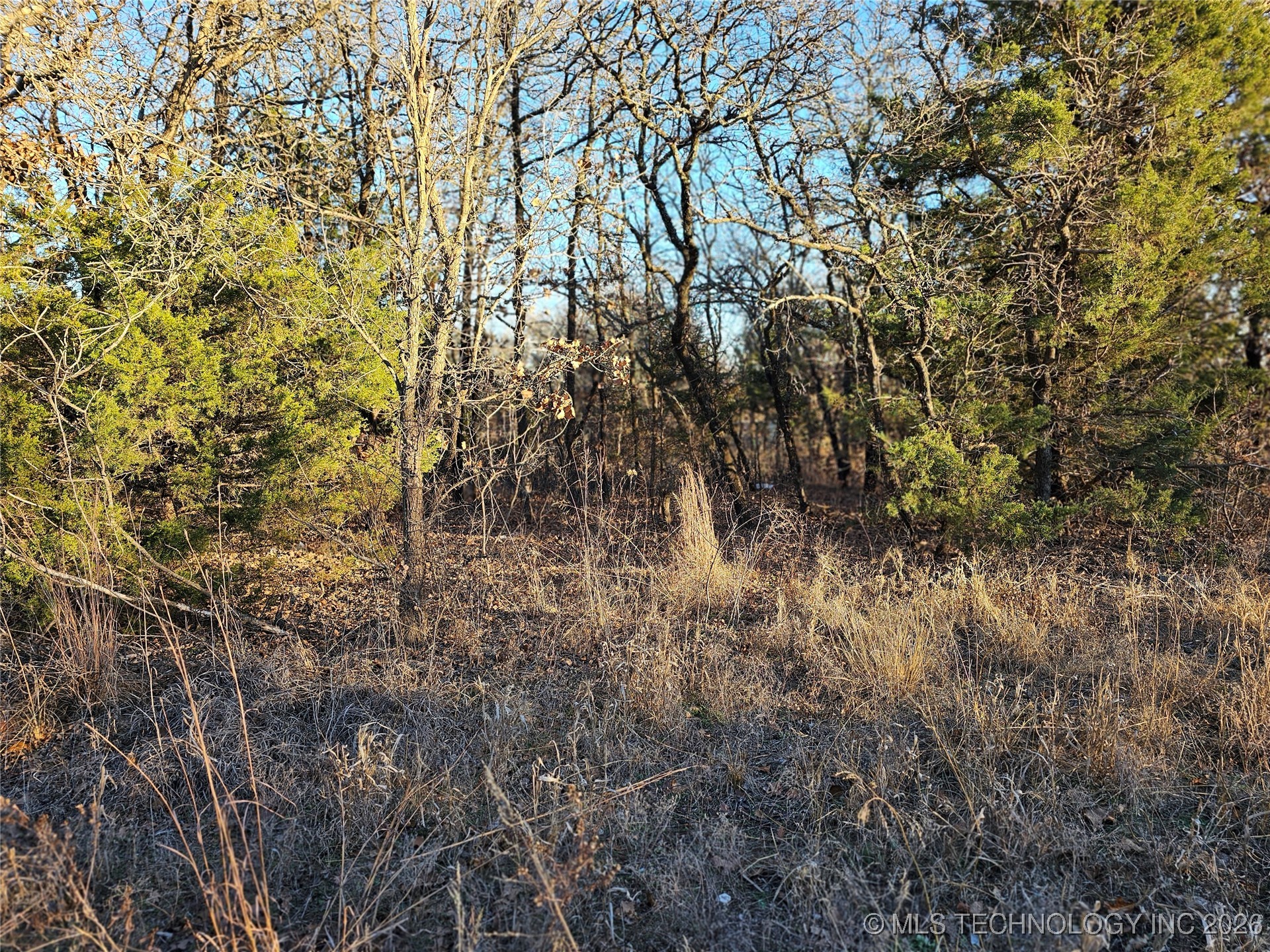 0000 S Todd Drive Property Photo 58