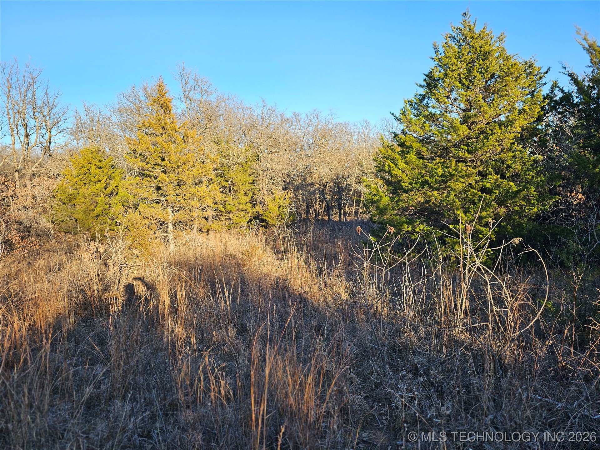 0000 S Todd Drive Property Photo 59