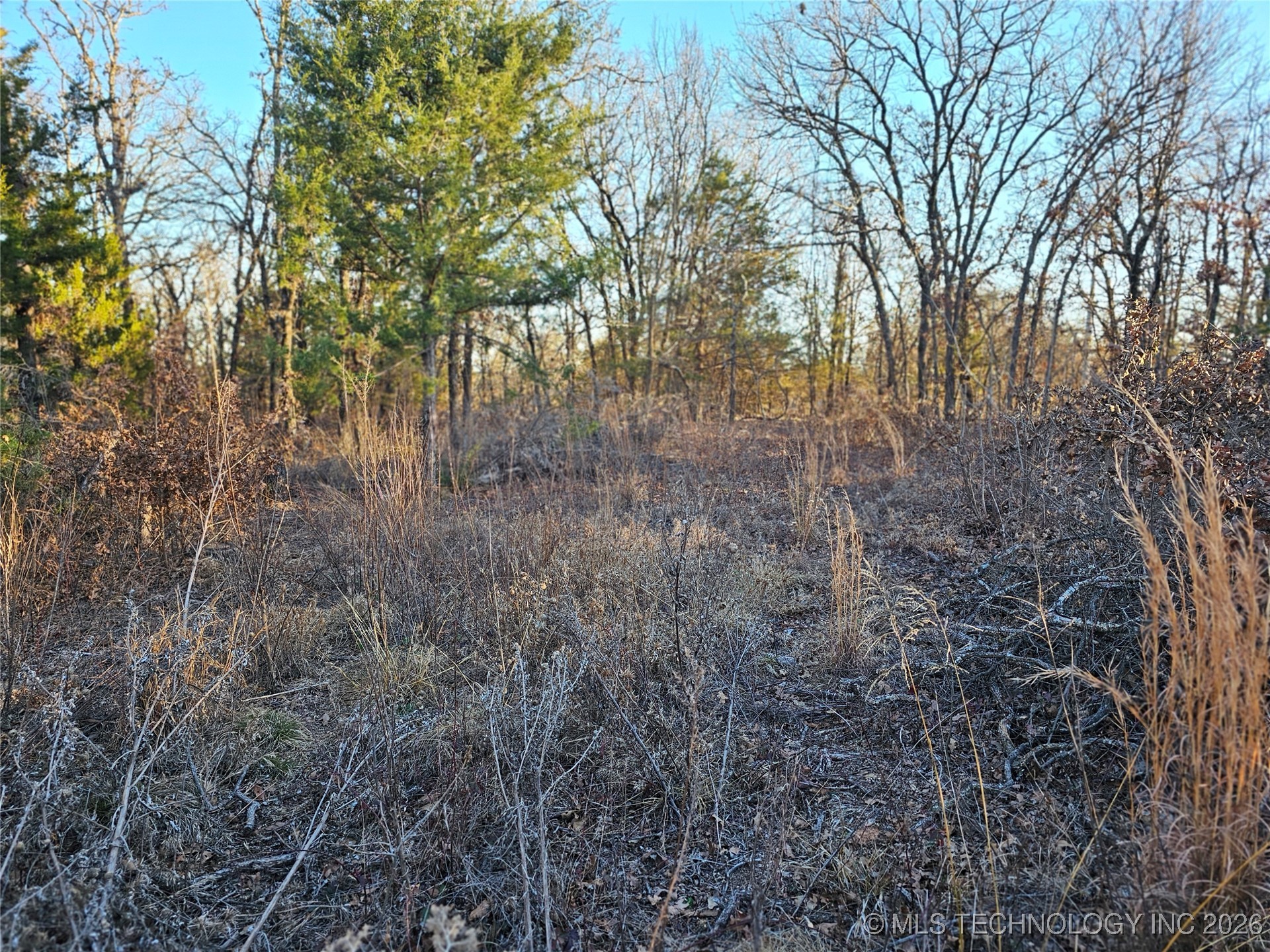 0000 S Todd Drive Property Photo 60