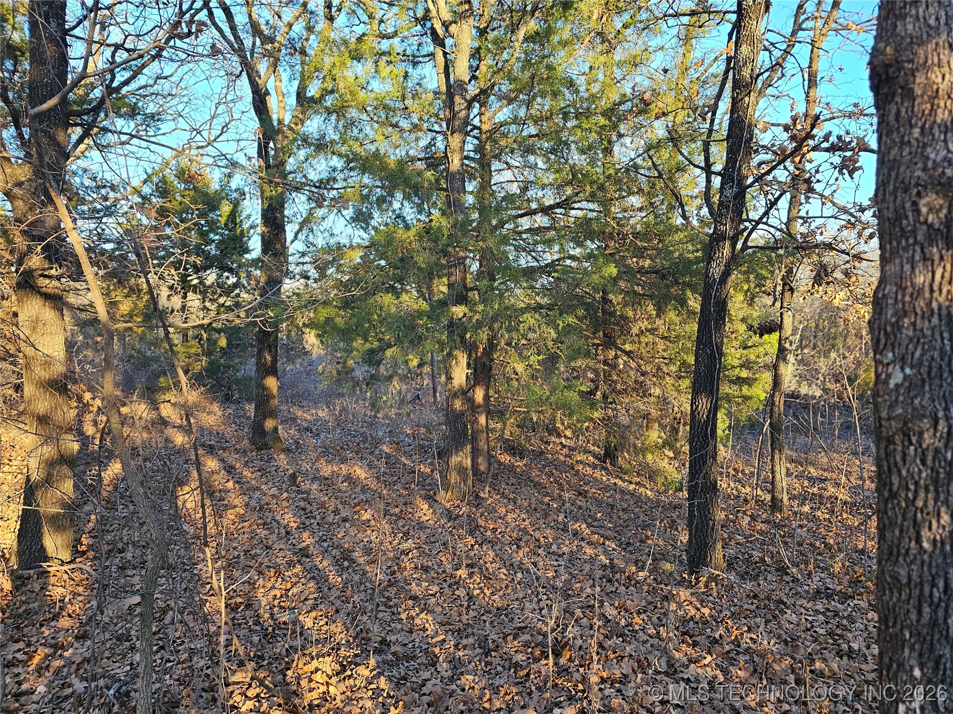 0000 S Todd Drive Property Photo 61