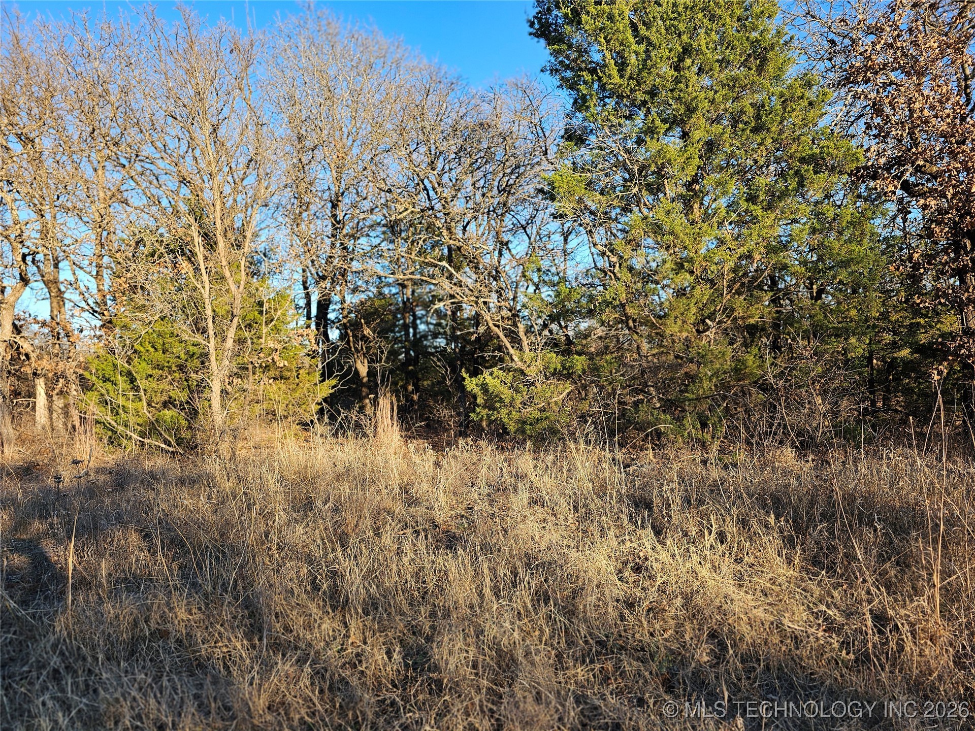 0000 S Todd Drive Property Photo 62