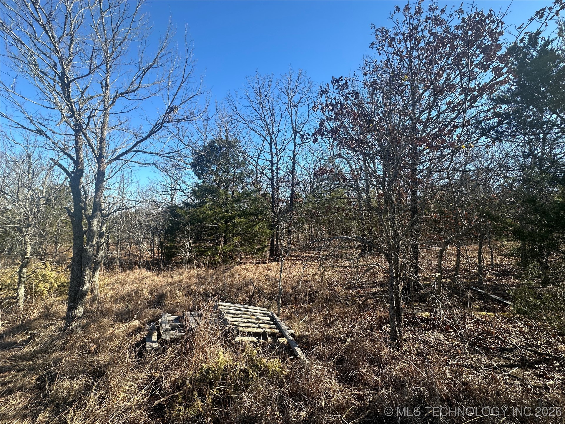 Kelso Property Photo 2