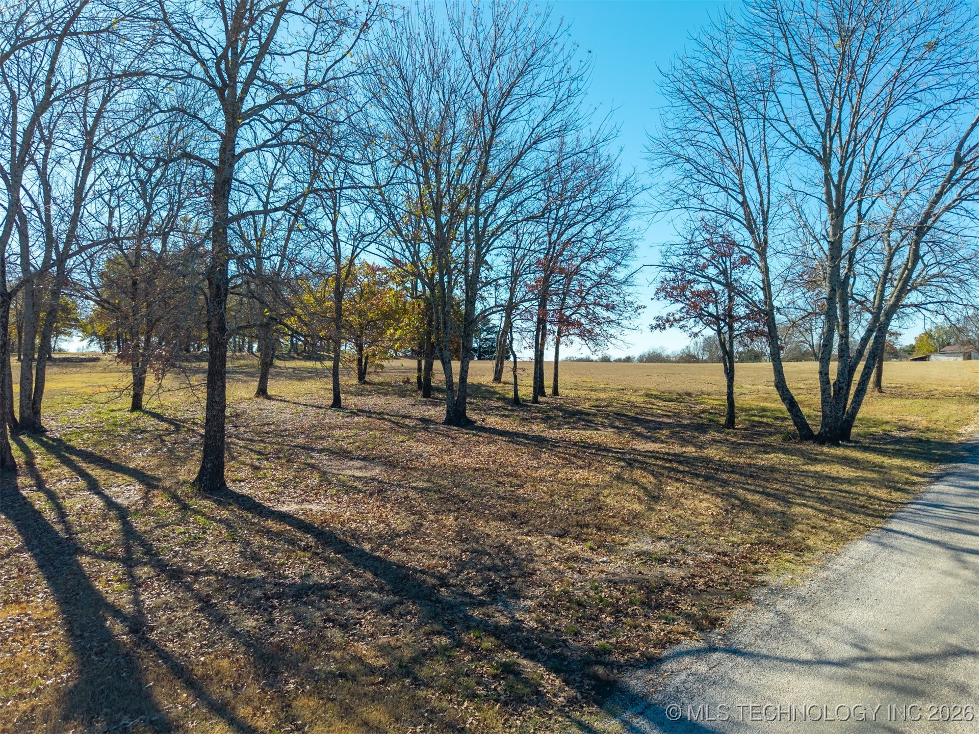 14567 Little Road Property Photo 4