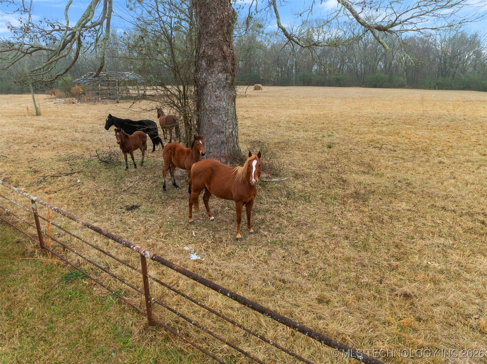 273 Main Street Property Photo 78