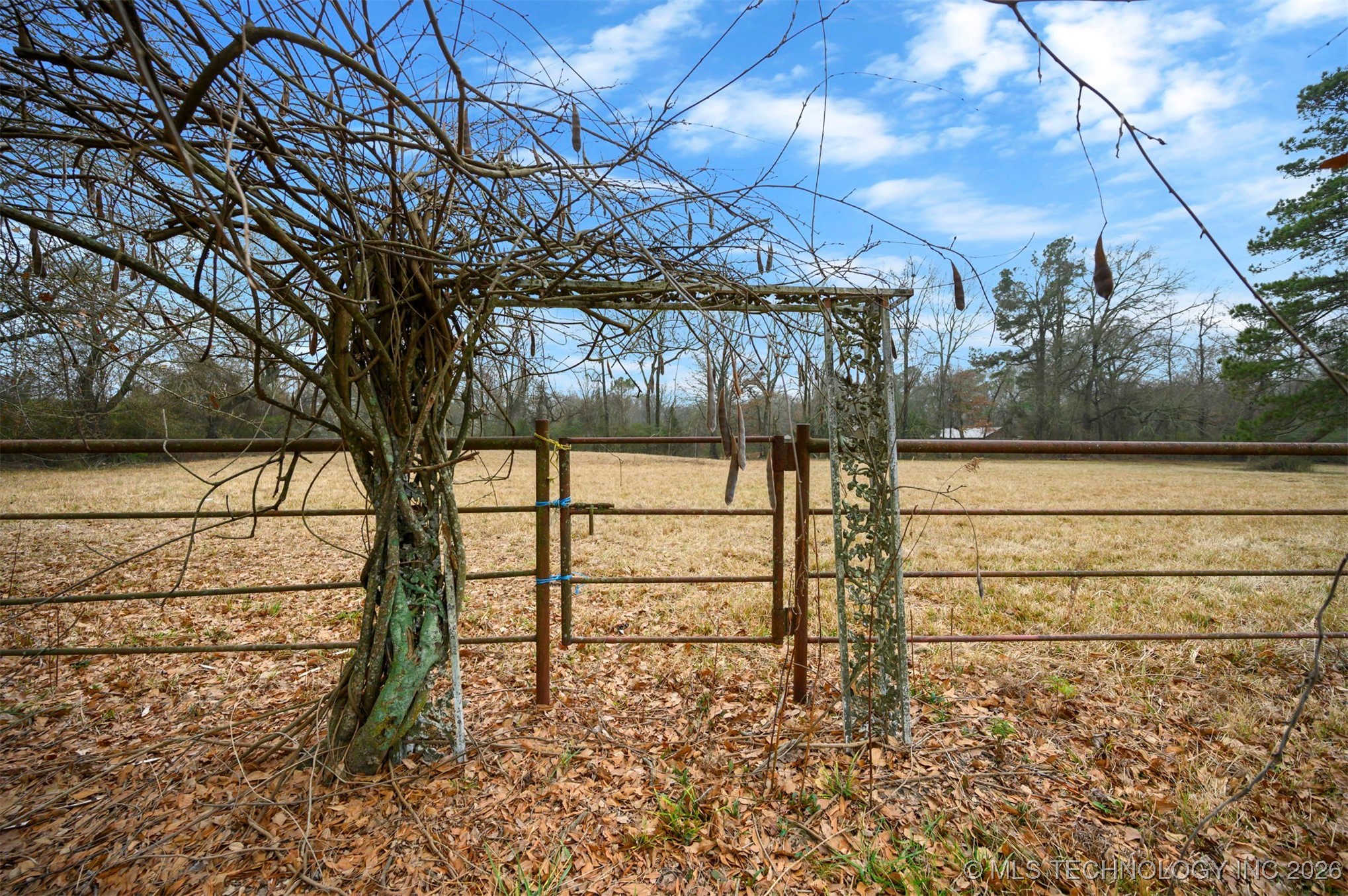 273 Main Street Property Photo 82